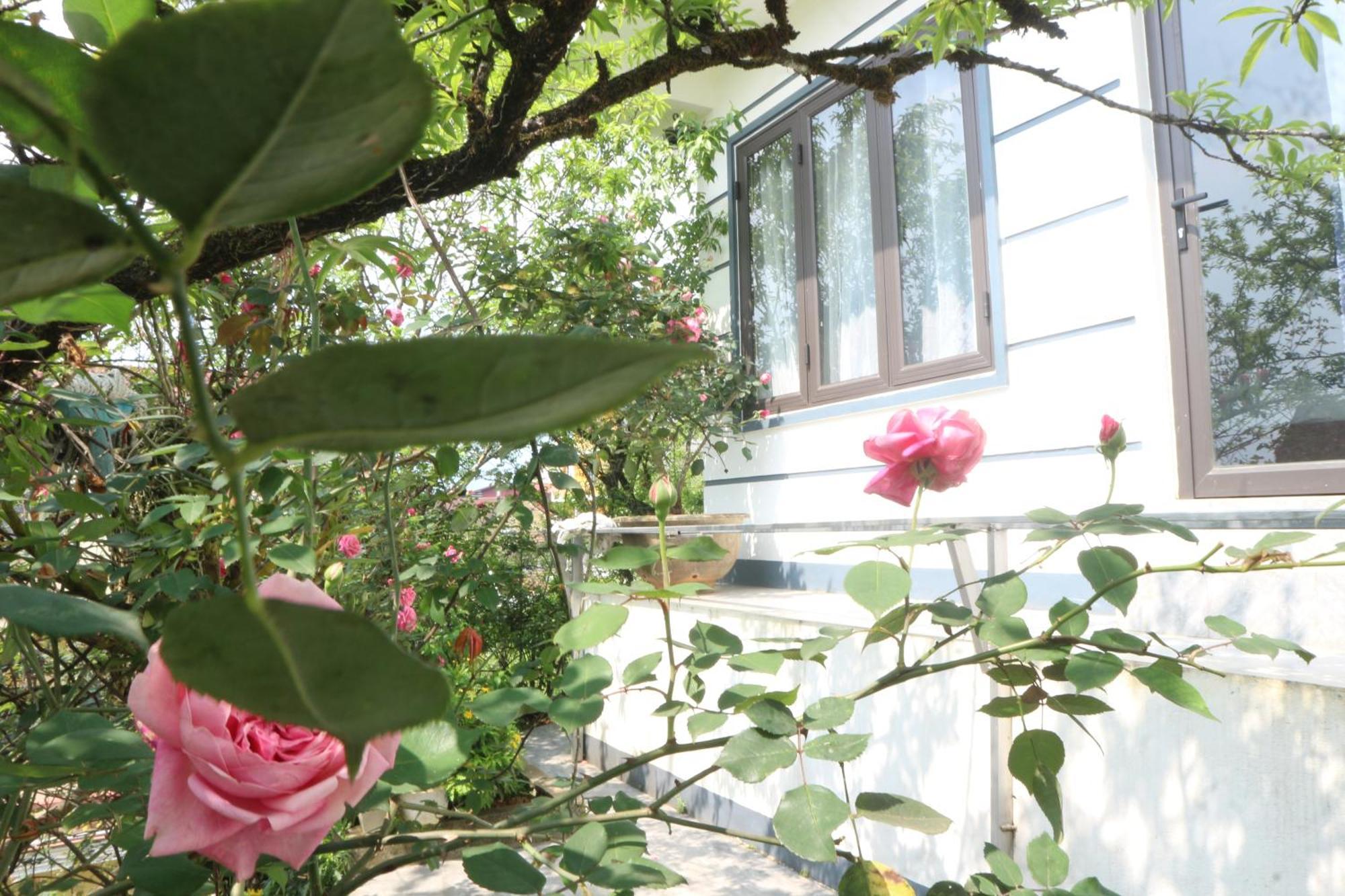 Nui Guest house *