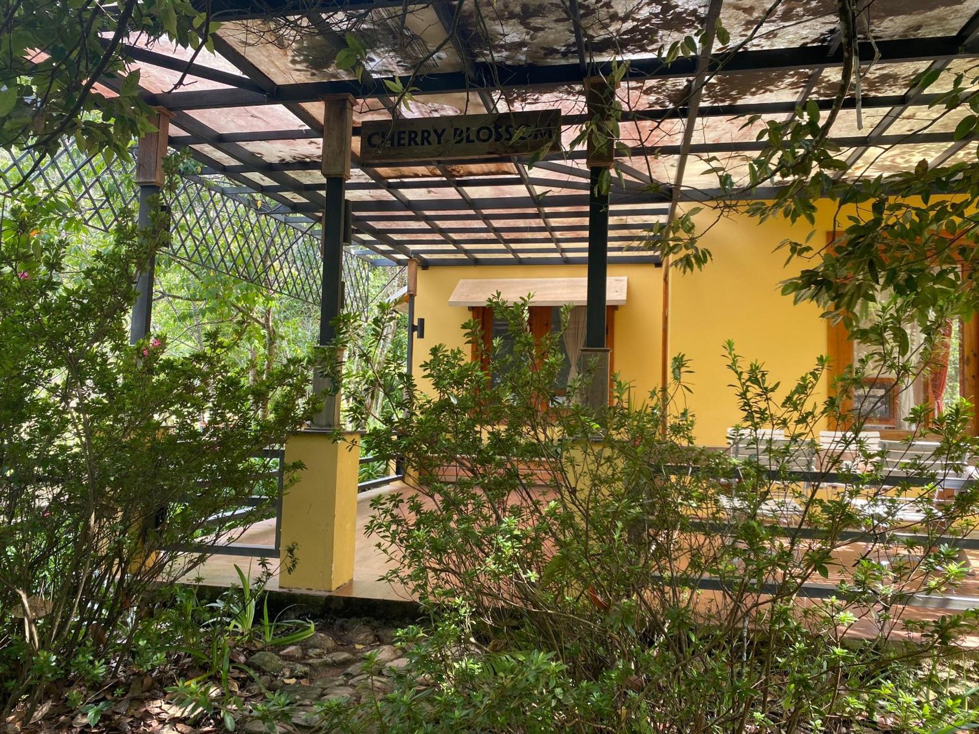 Laan Retreat-dalat 2*