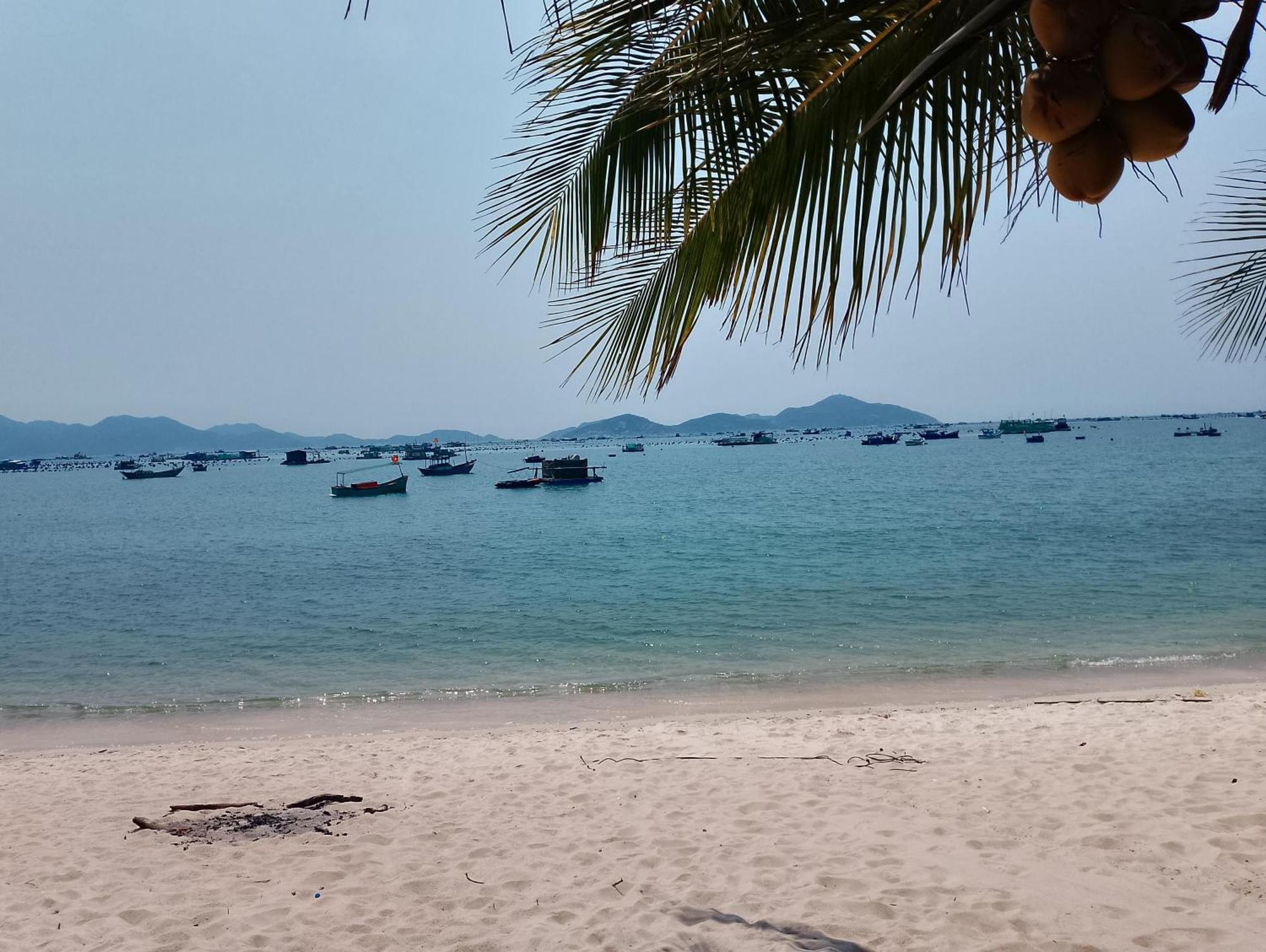 The Sunrise Anh Tu *