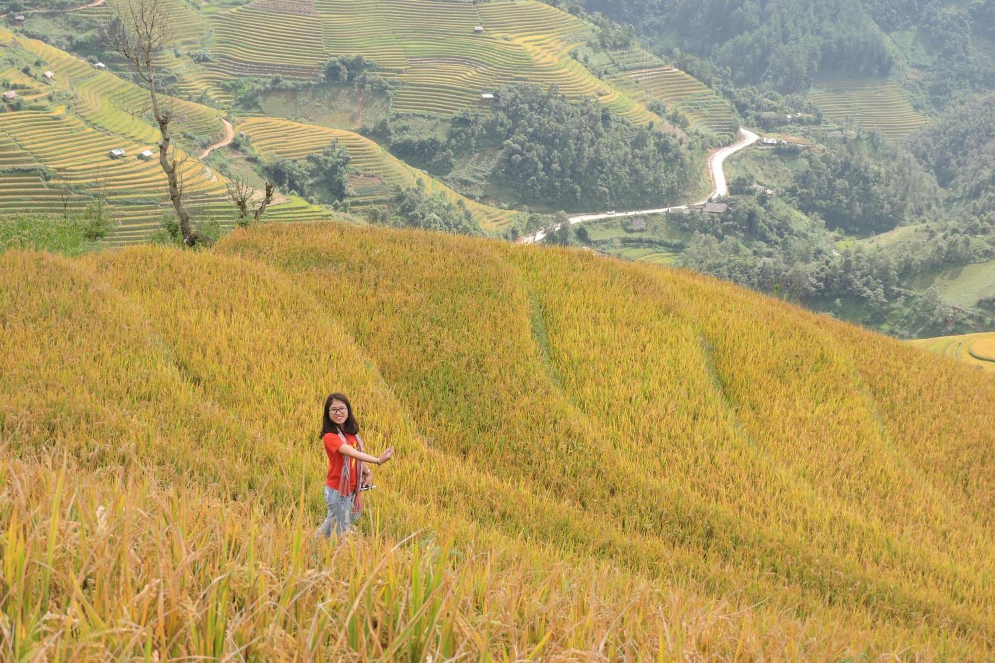 Hello & Tours Mu Cang Chai