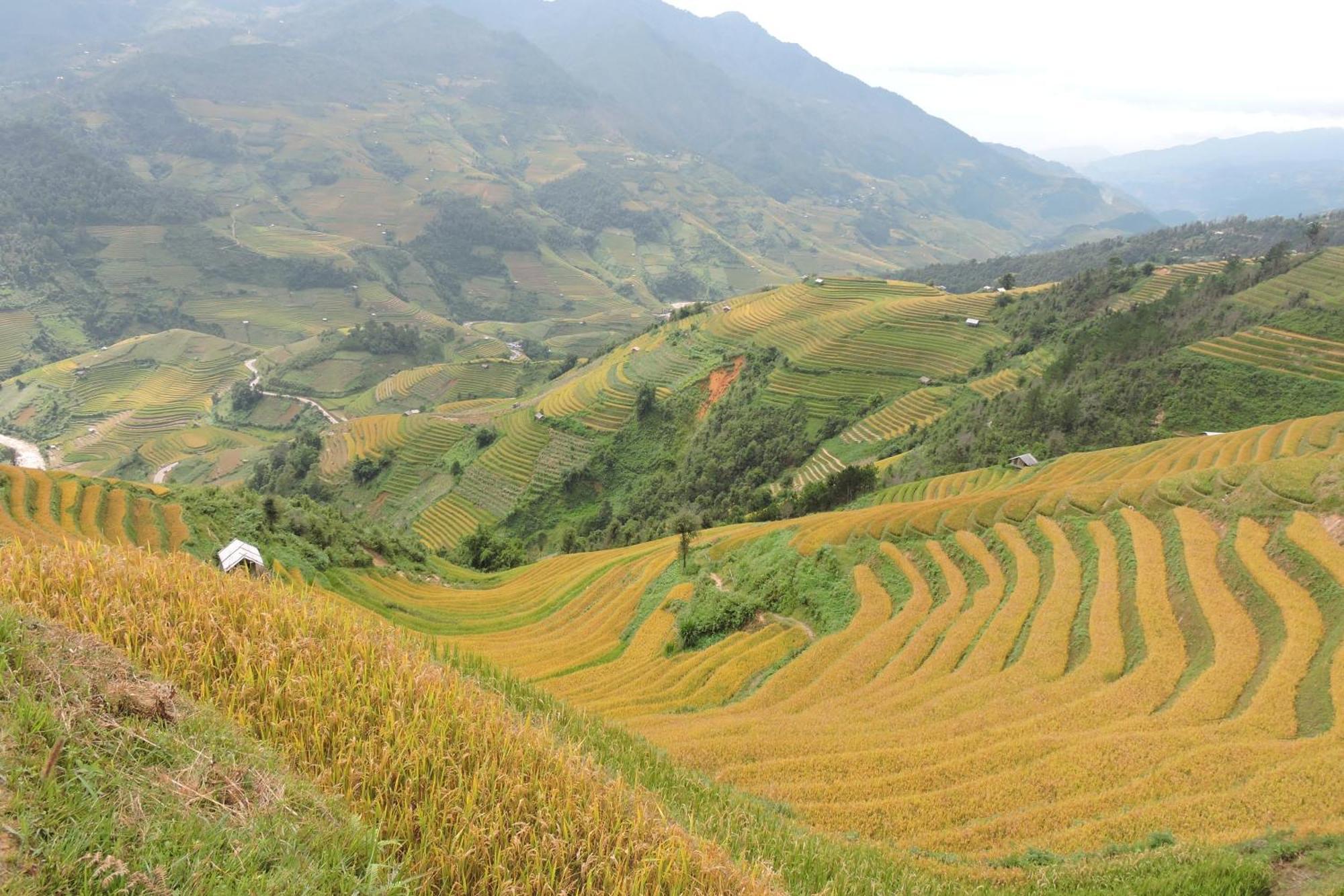 Hello & Tours Lodge Mu Cang Chai