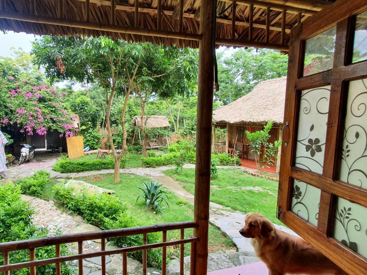 Bamboo Homestay Ninh Binh