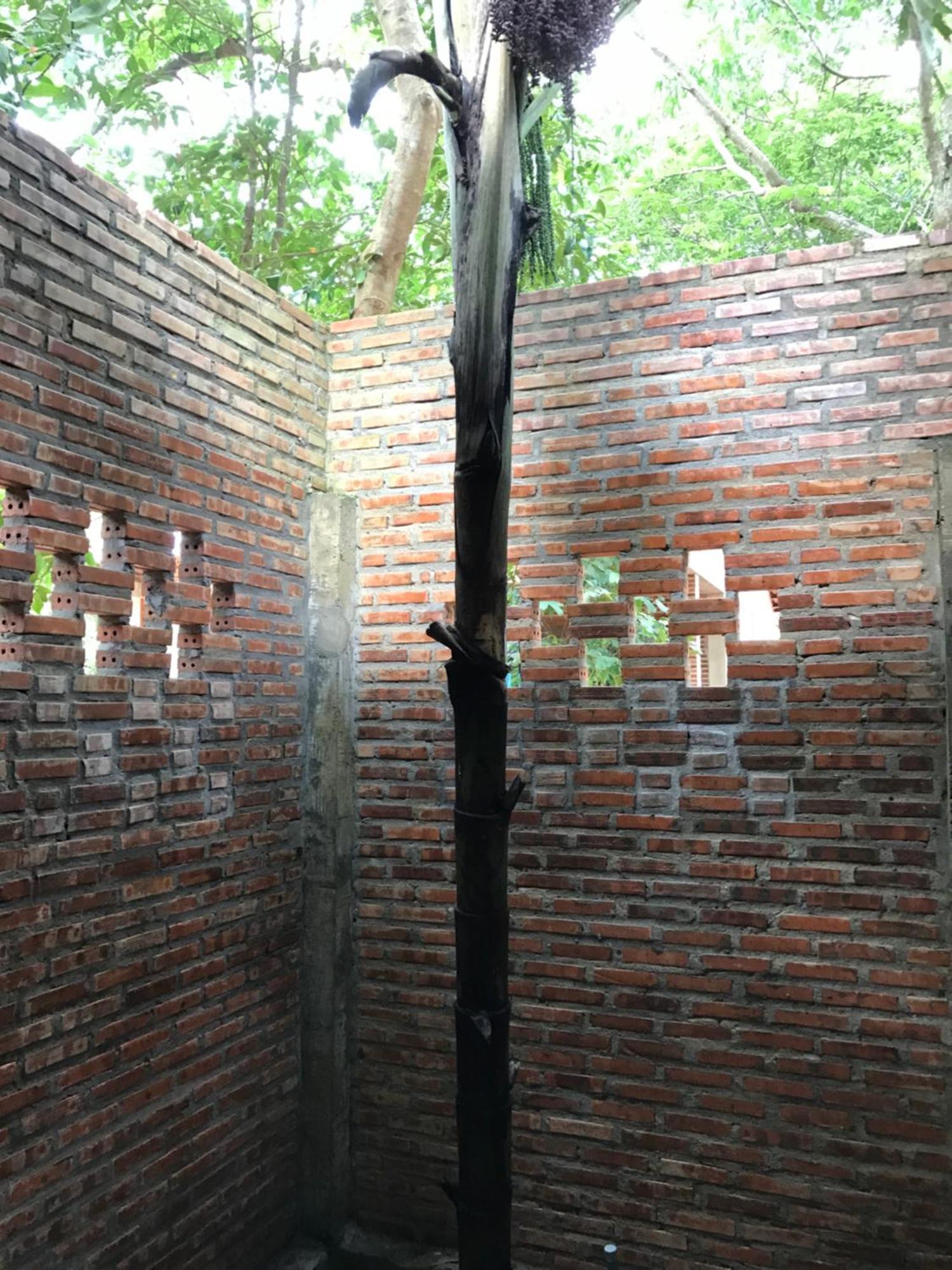 An Yen Phu Quoc
