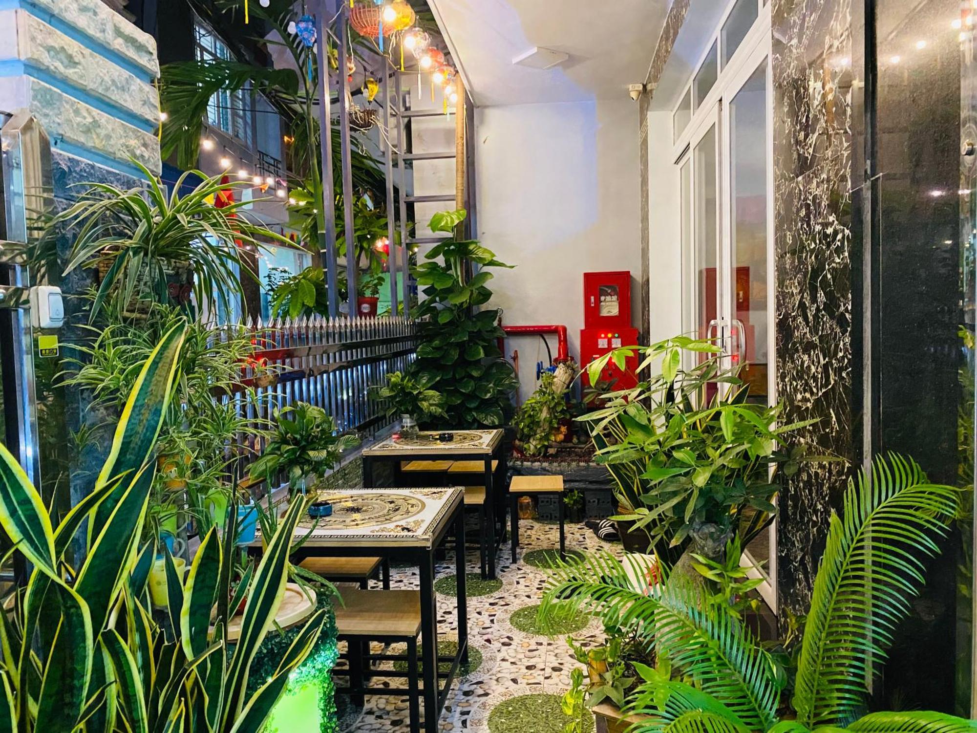 Cat Ba Homestay Dong Khe Sau