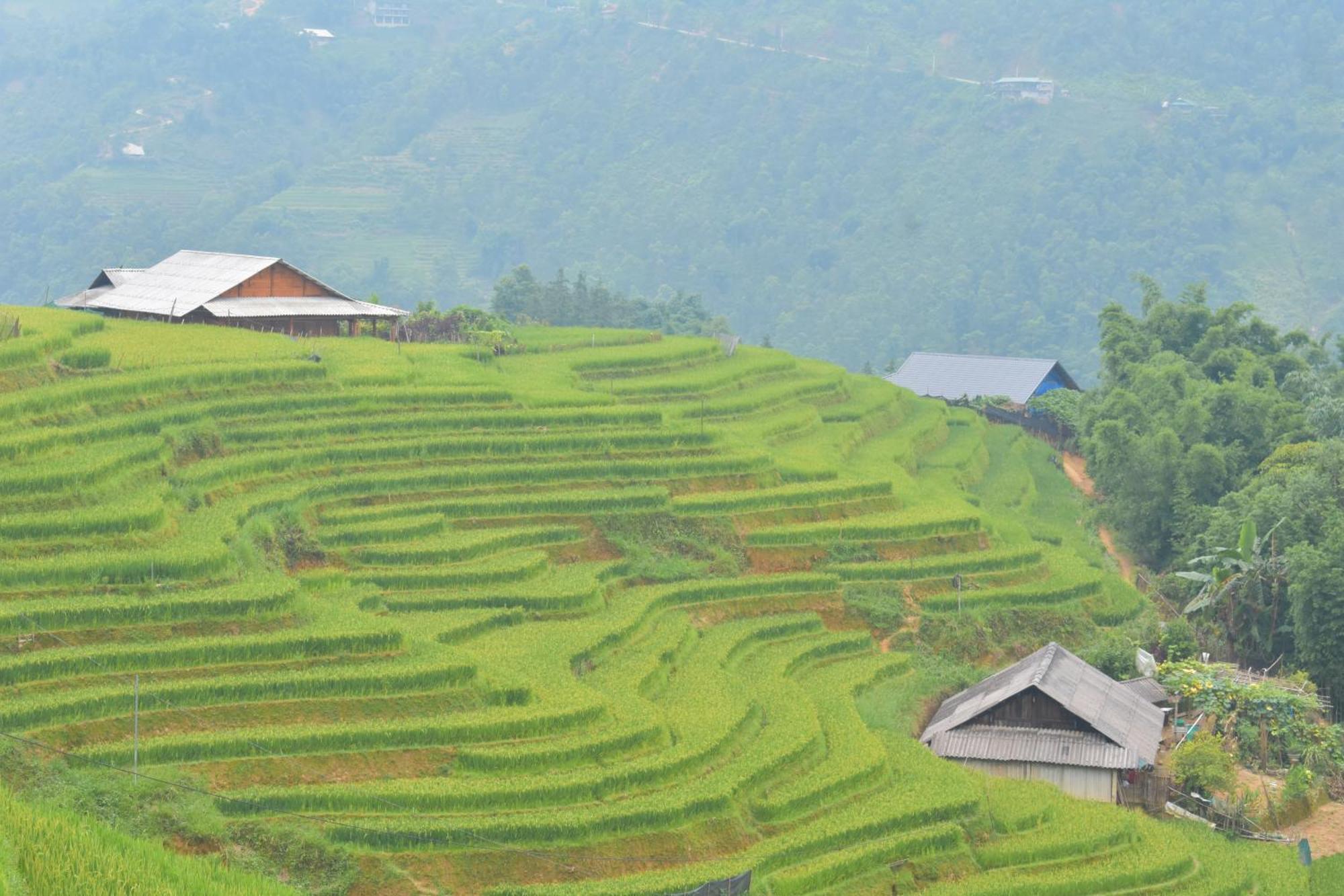 Lodge Khen Mong Nature Sa Pa