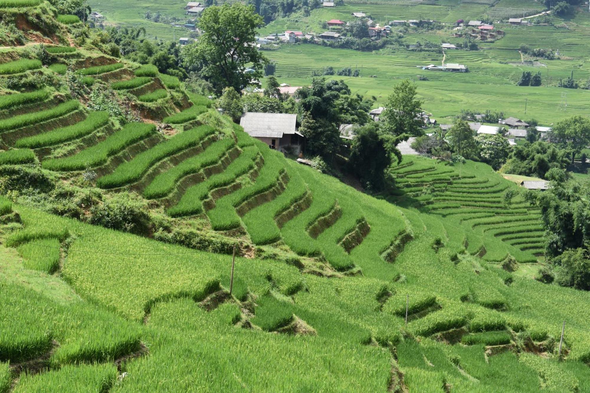Khen Mong Nature *