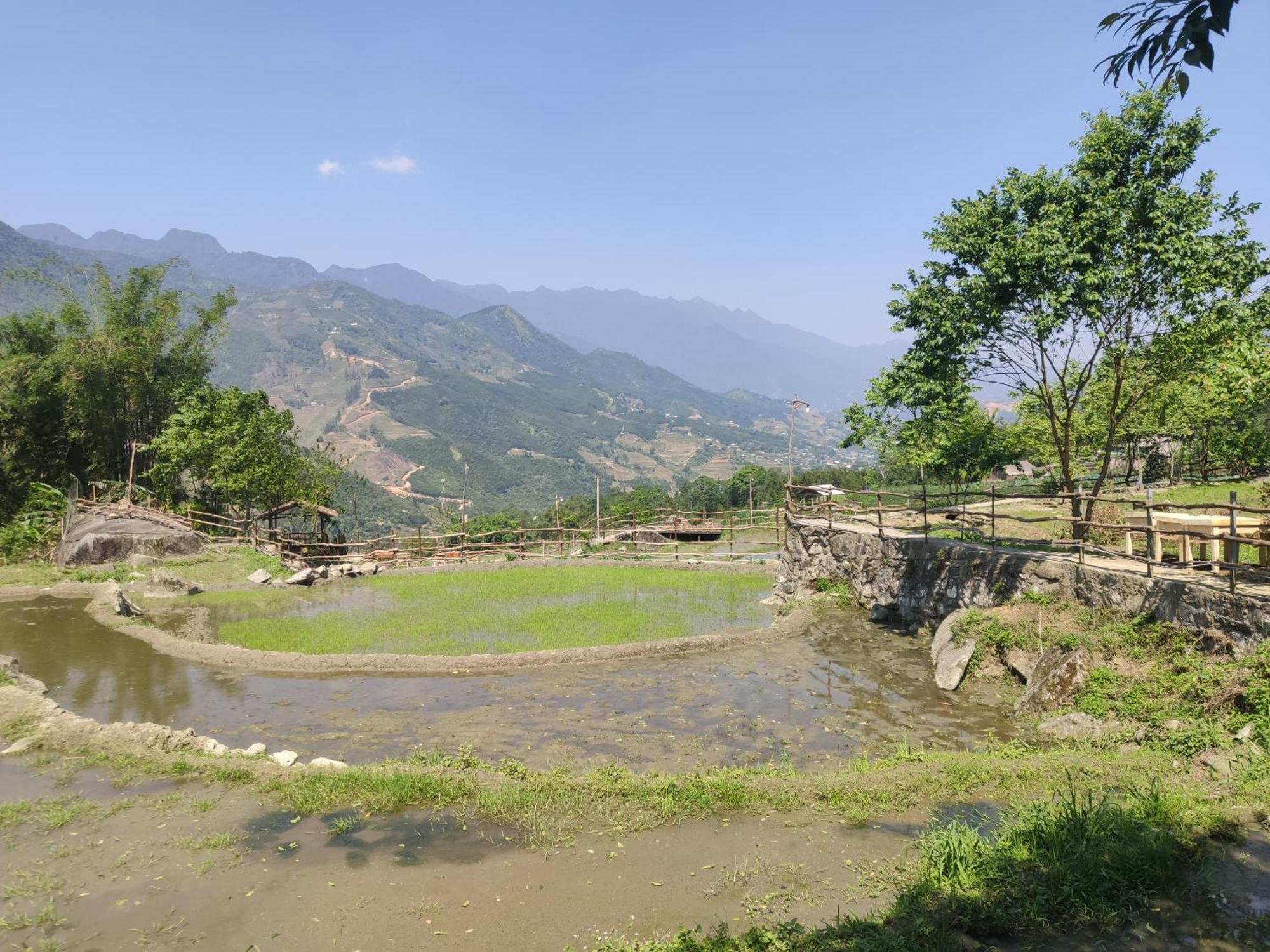 Lodge Khen Mong Nature Sa Pa