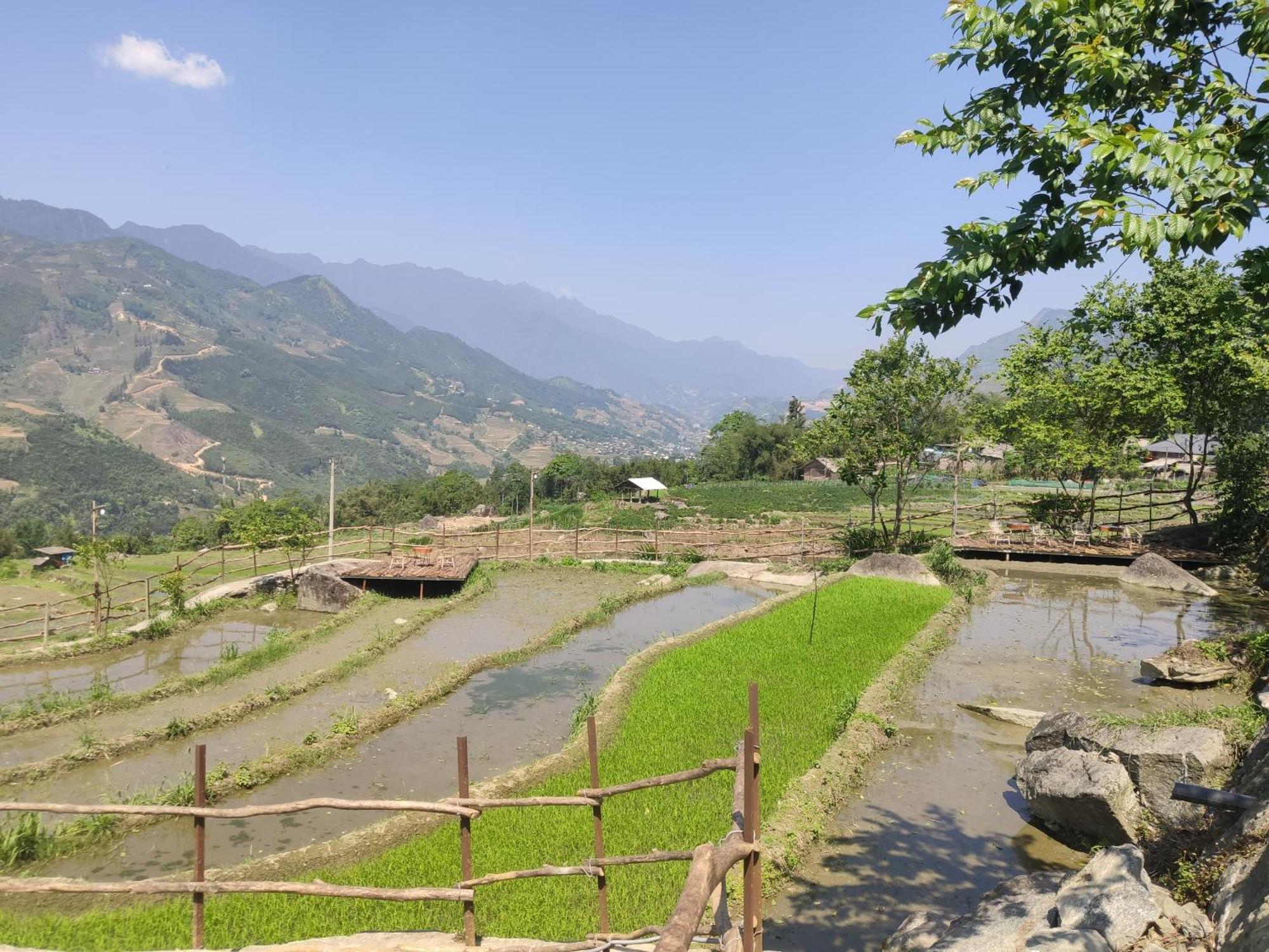 Lodge Khen Mong Nature