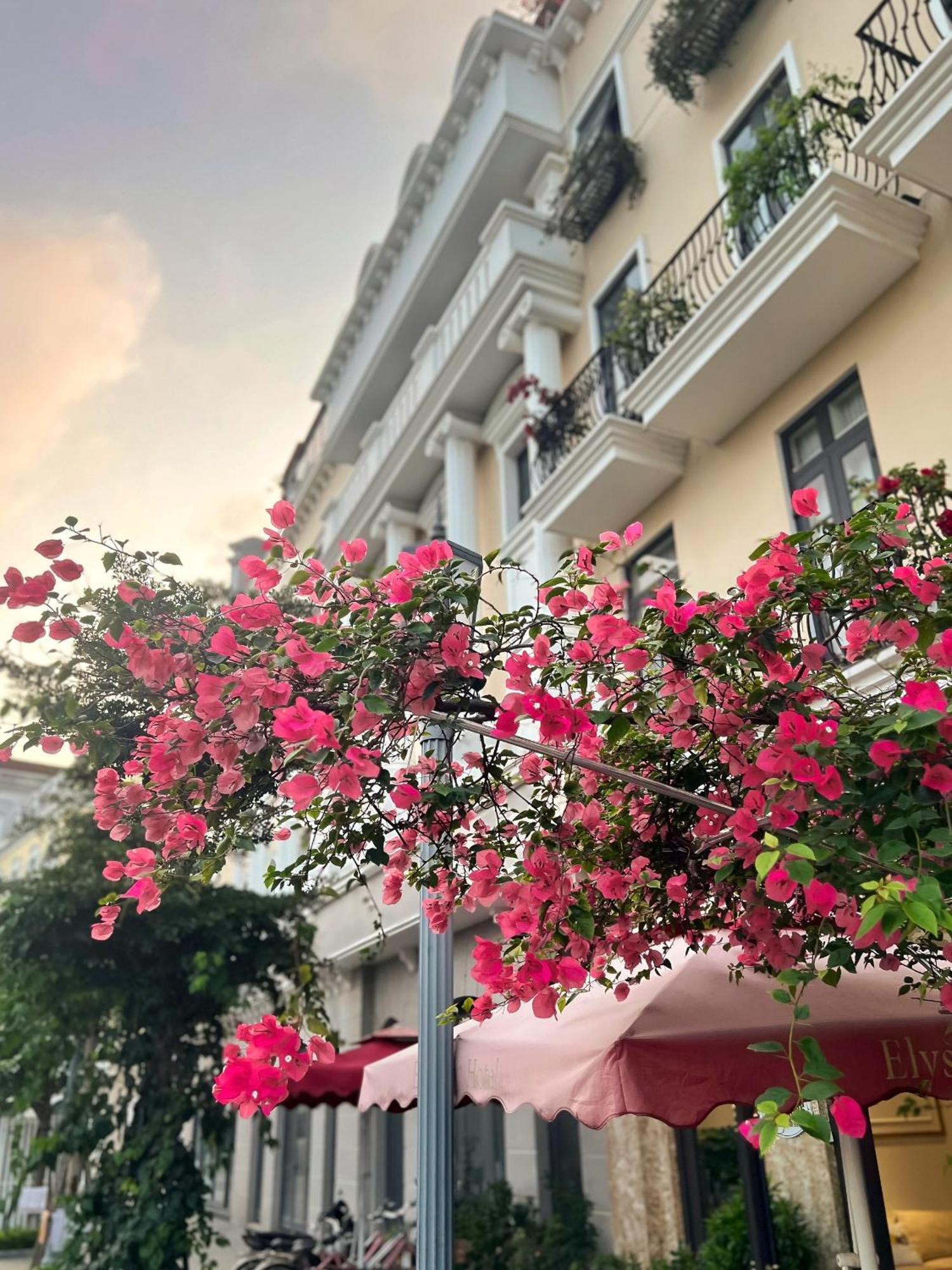 Elysinam Boutique Khách sạn Hạ Long