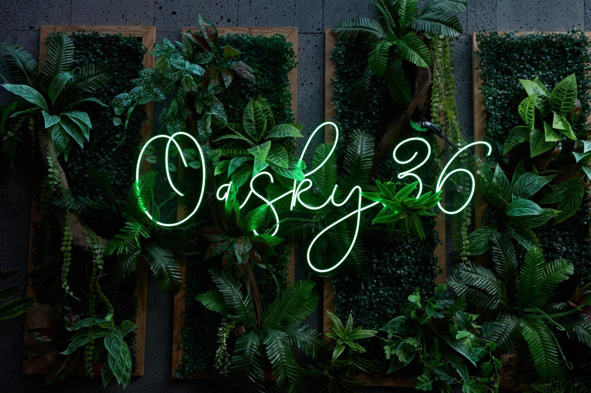 Apartment Pooh House 5 - Oasky *