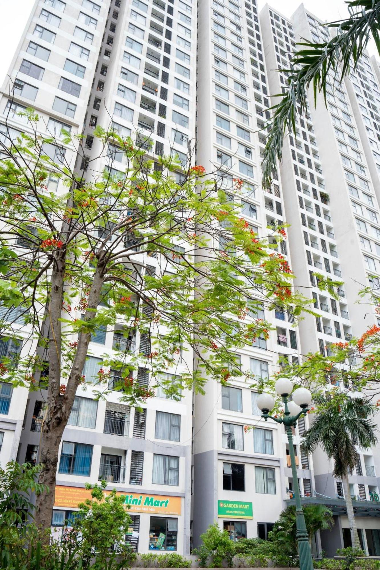 Căn hộ Bon View Biển *
