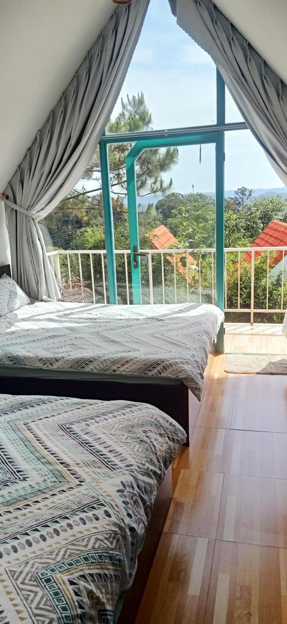 Paradiso Măng đen * Kon Von Kla