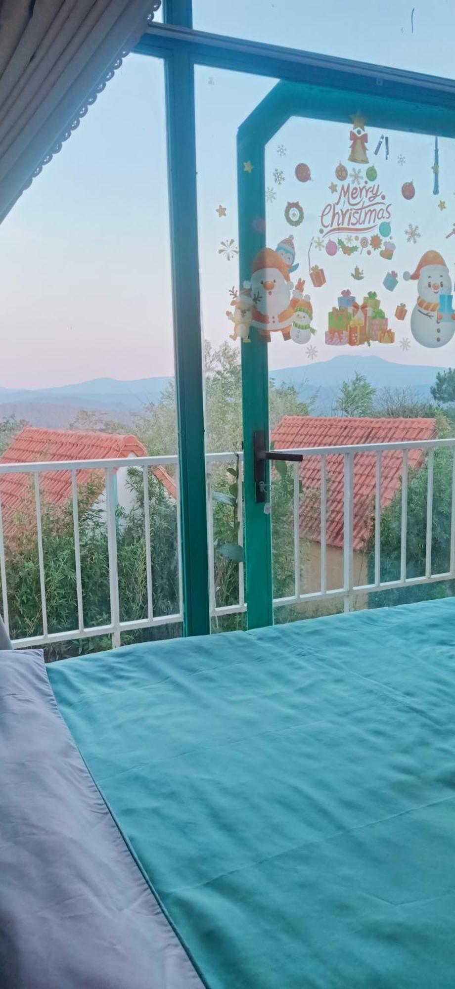 Paradiso Măng đen