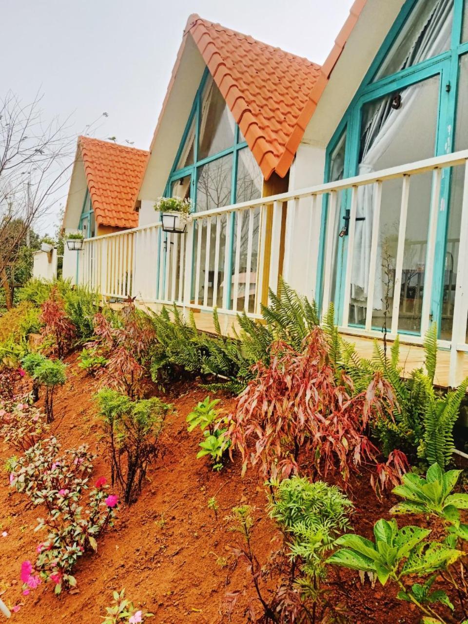 Paradiso Măng đen Ở trọ Kon Von Kla