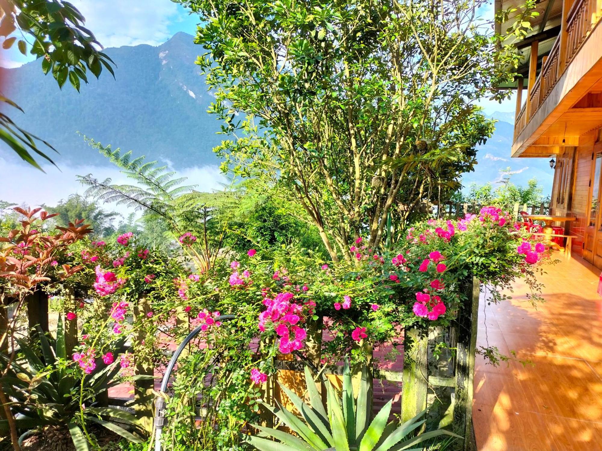 Homestay Muong Hoa Hmong *