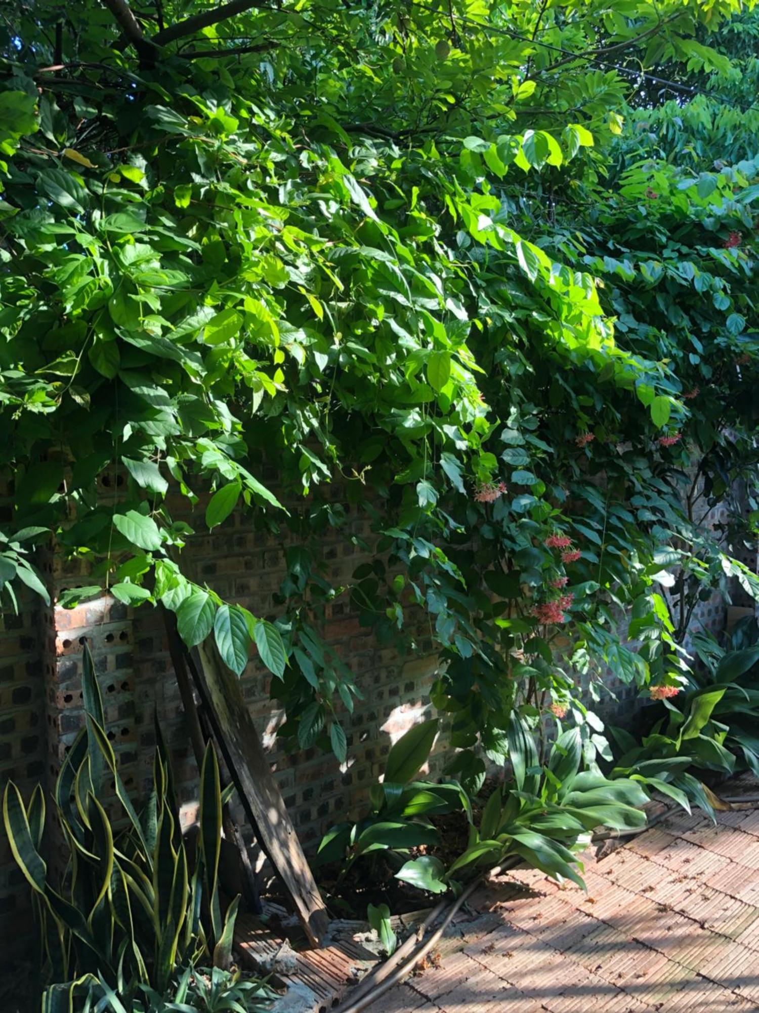 Thuy Xuyen Tam Coc 3* Vu Lam