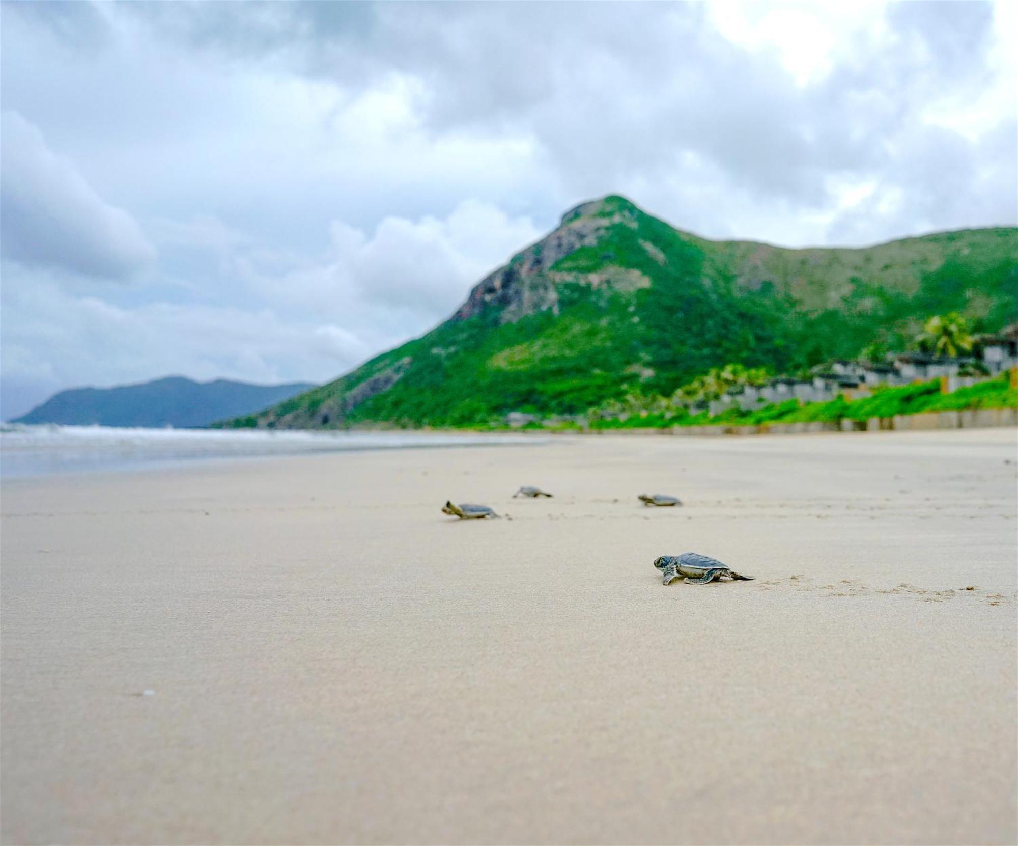 Resort Six Senses Con Dao - Turtle Island Paradise 5*