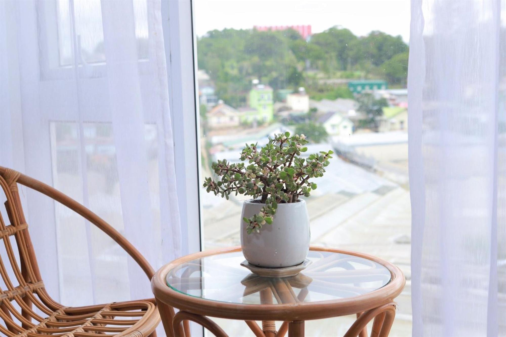 Starview Bed & Breakfast Da Lat