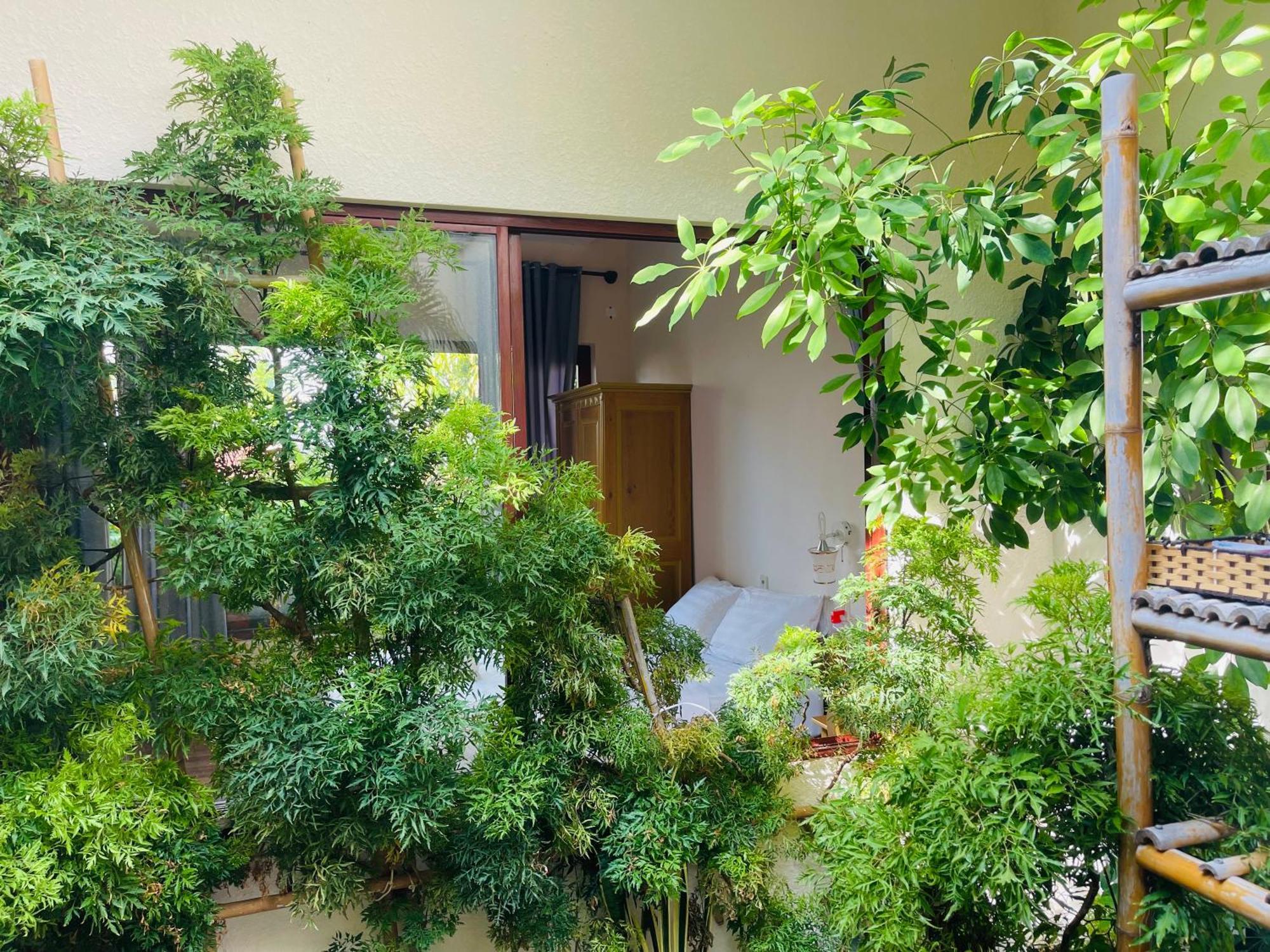 Guest house Garden And Kite School