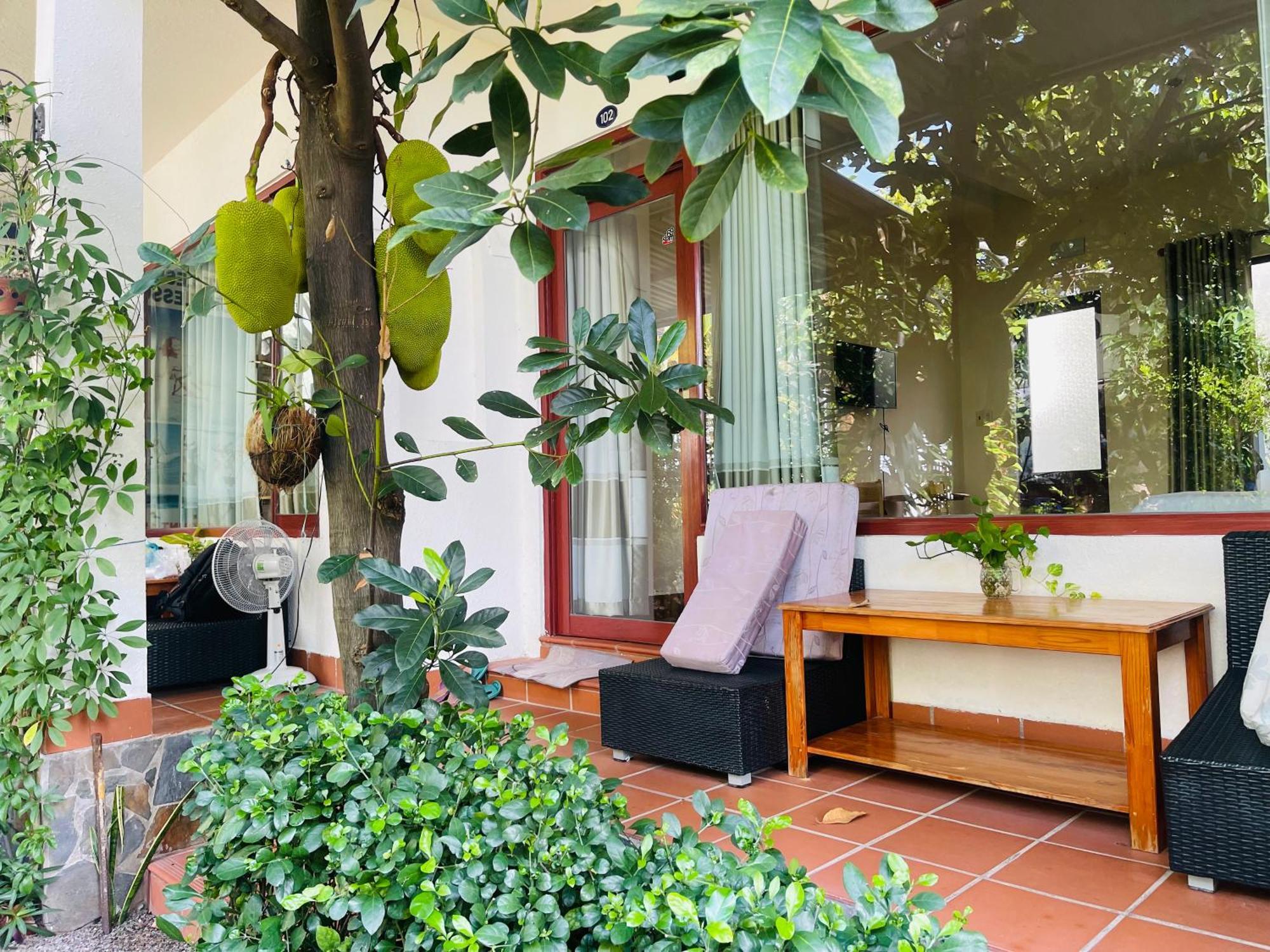 Guest house Garden And Kite School 2*