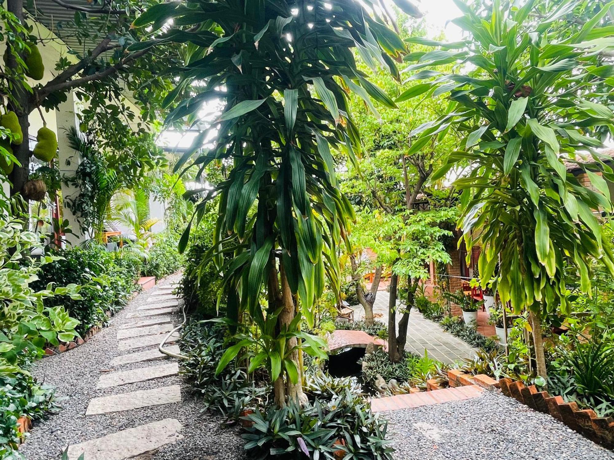 Guest house Garden And Kite School
