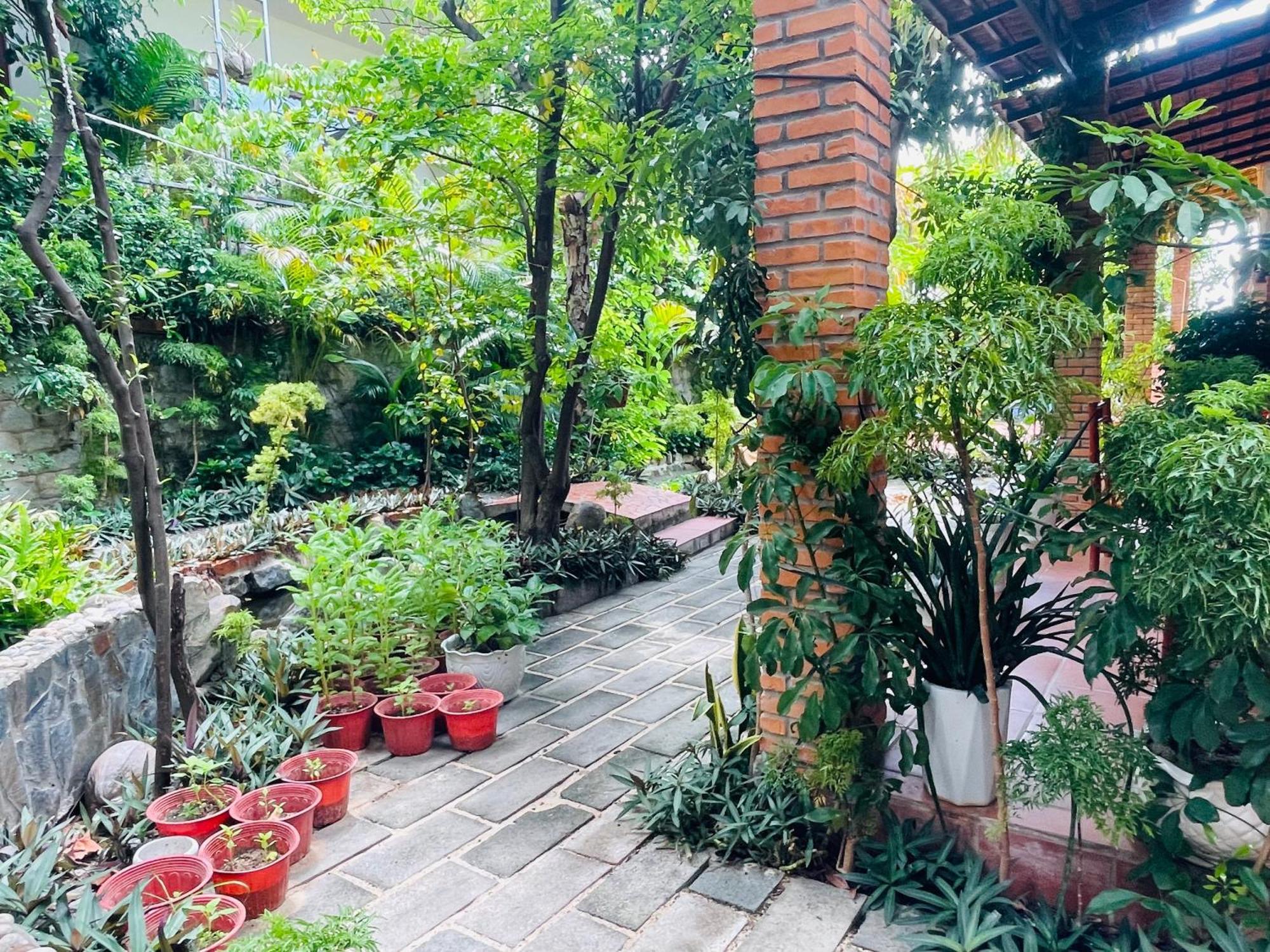 Guest house Garden And Kite School 2*