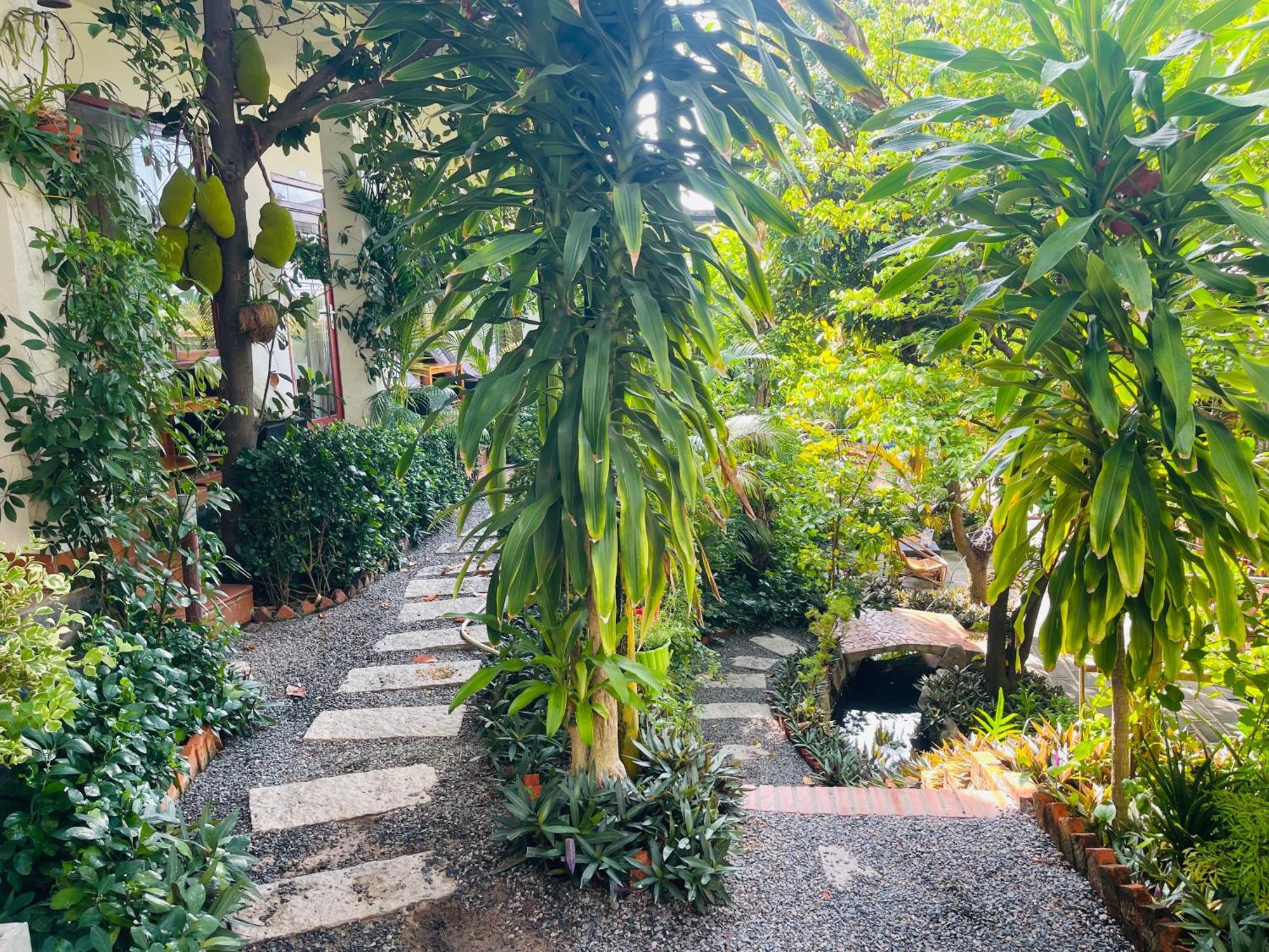 Garden 2*