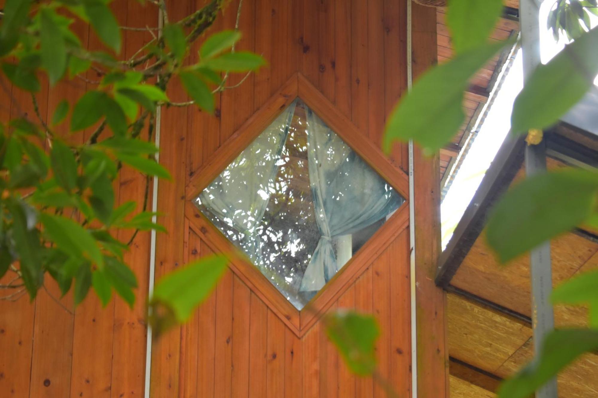 Homestay Jungle *