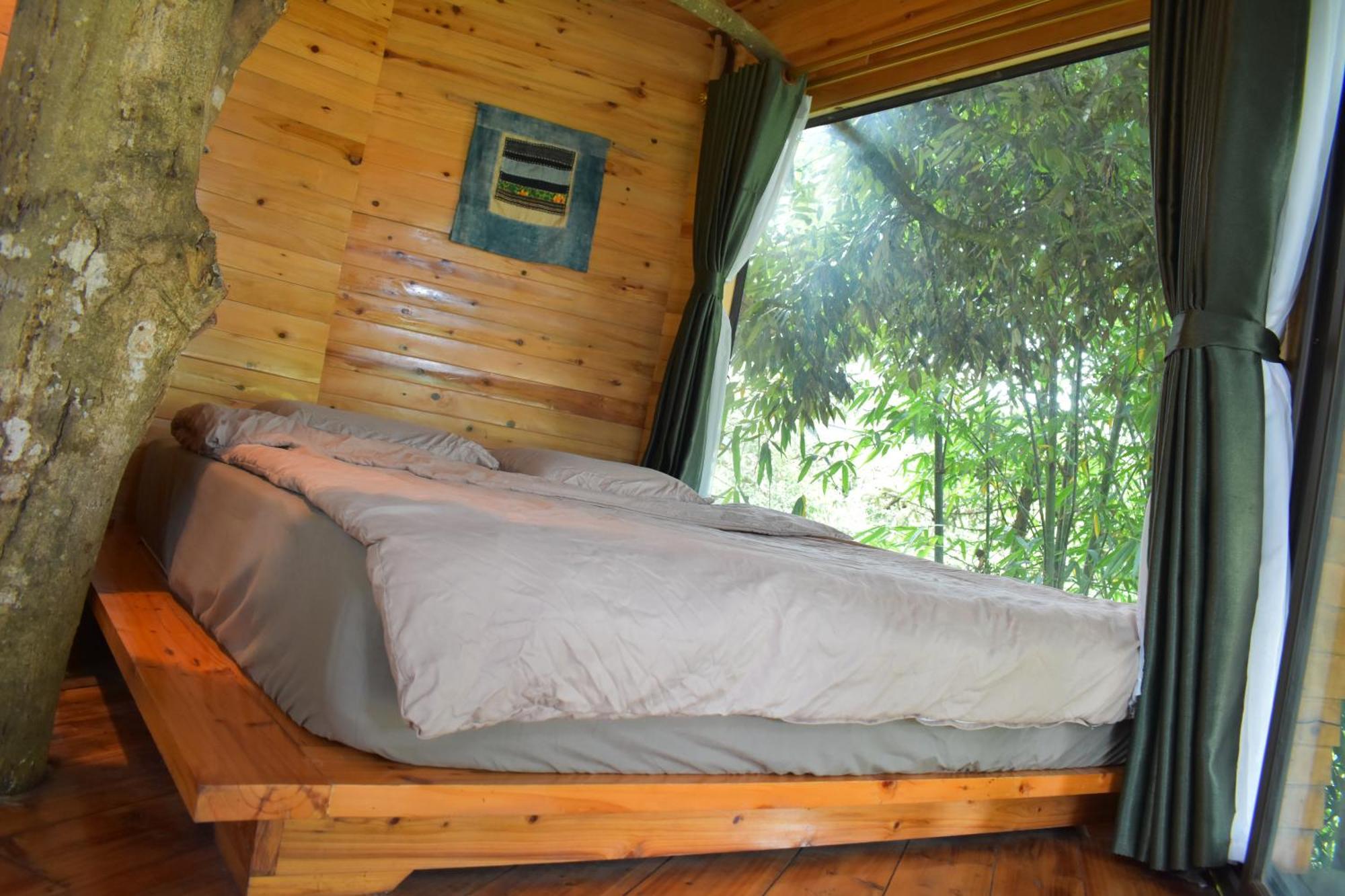 Homestay Jungle *
