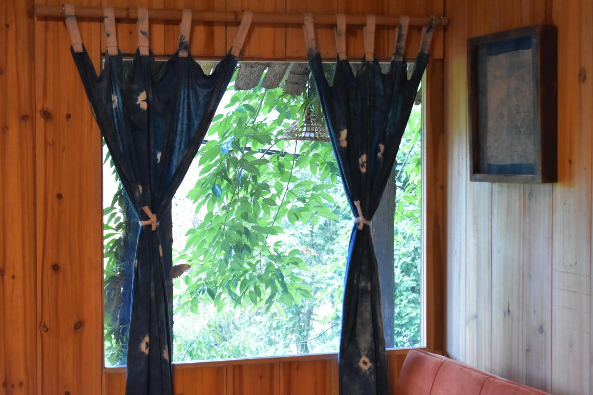 Jungle Ở trọ Sa Pa