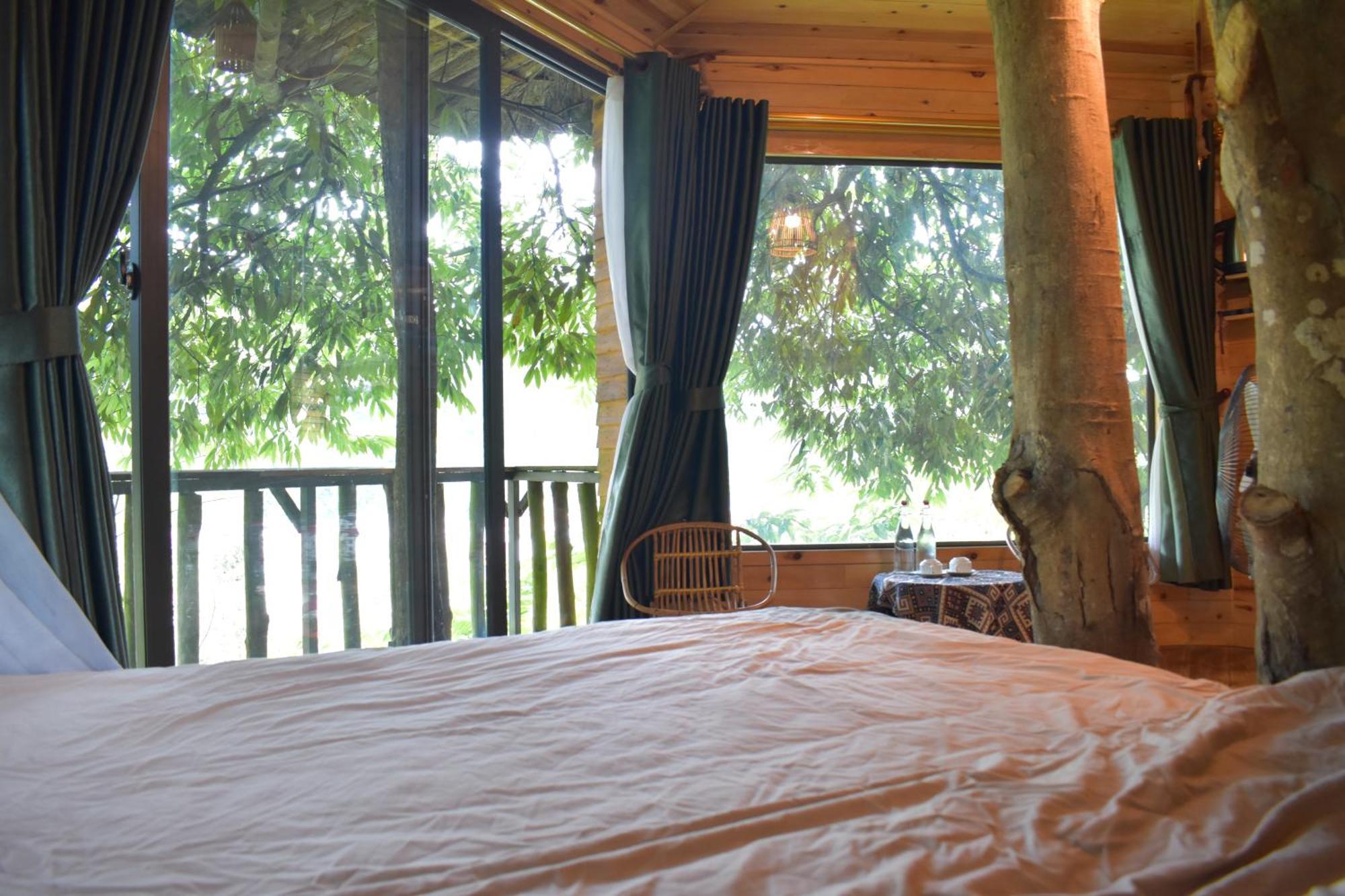 Homestay Jungle *