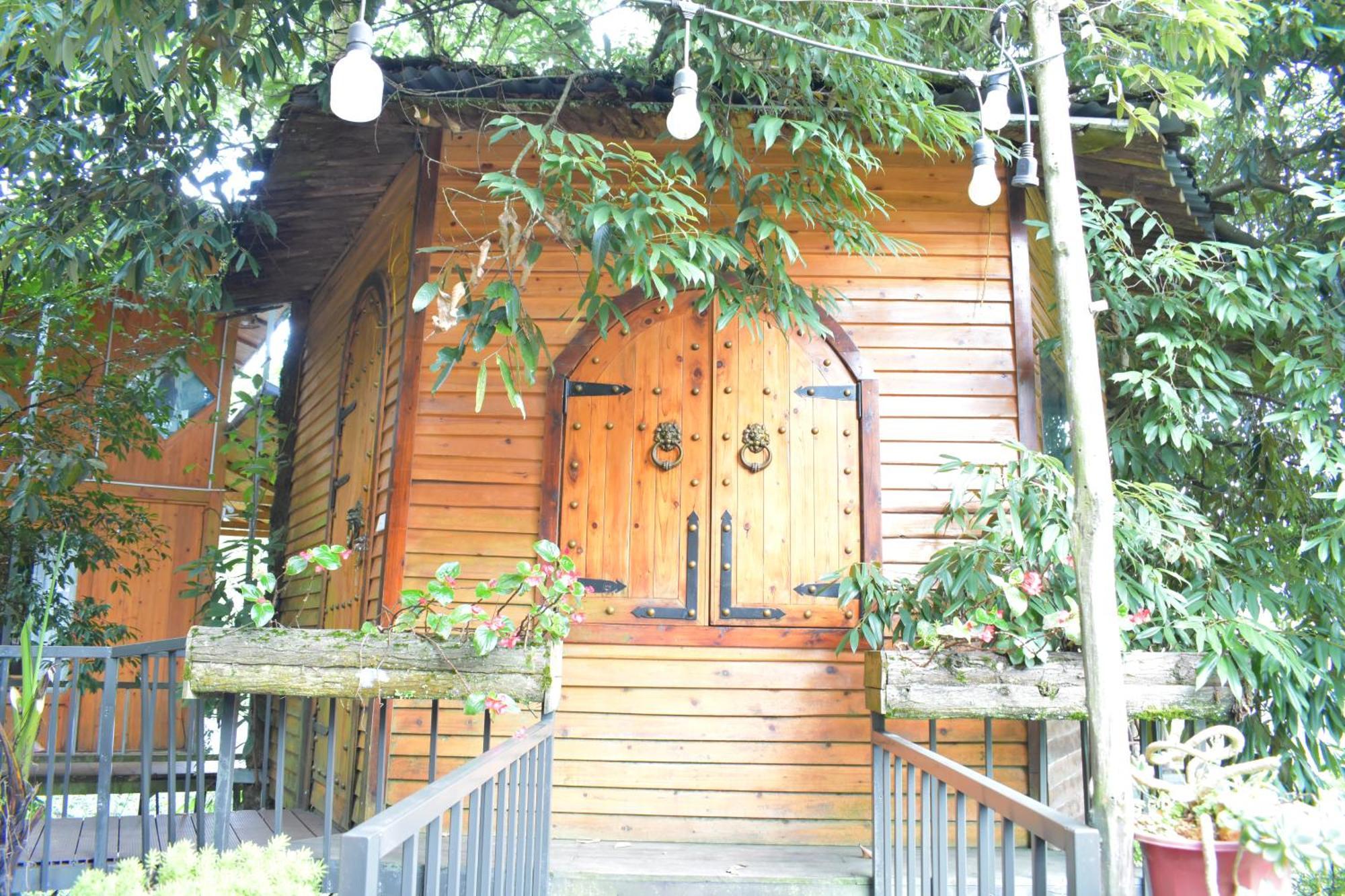 Jungle Ở trọ