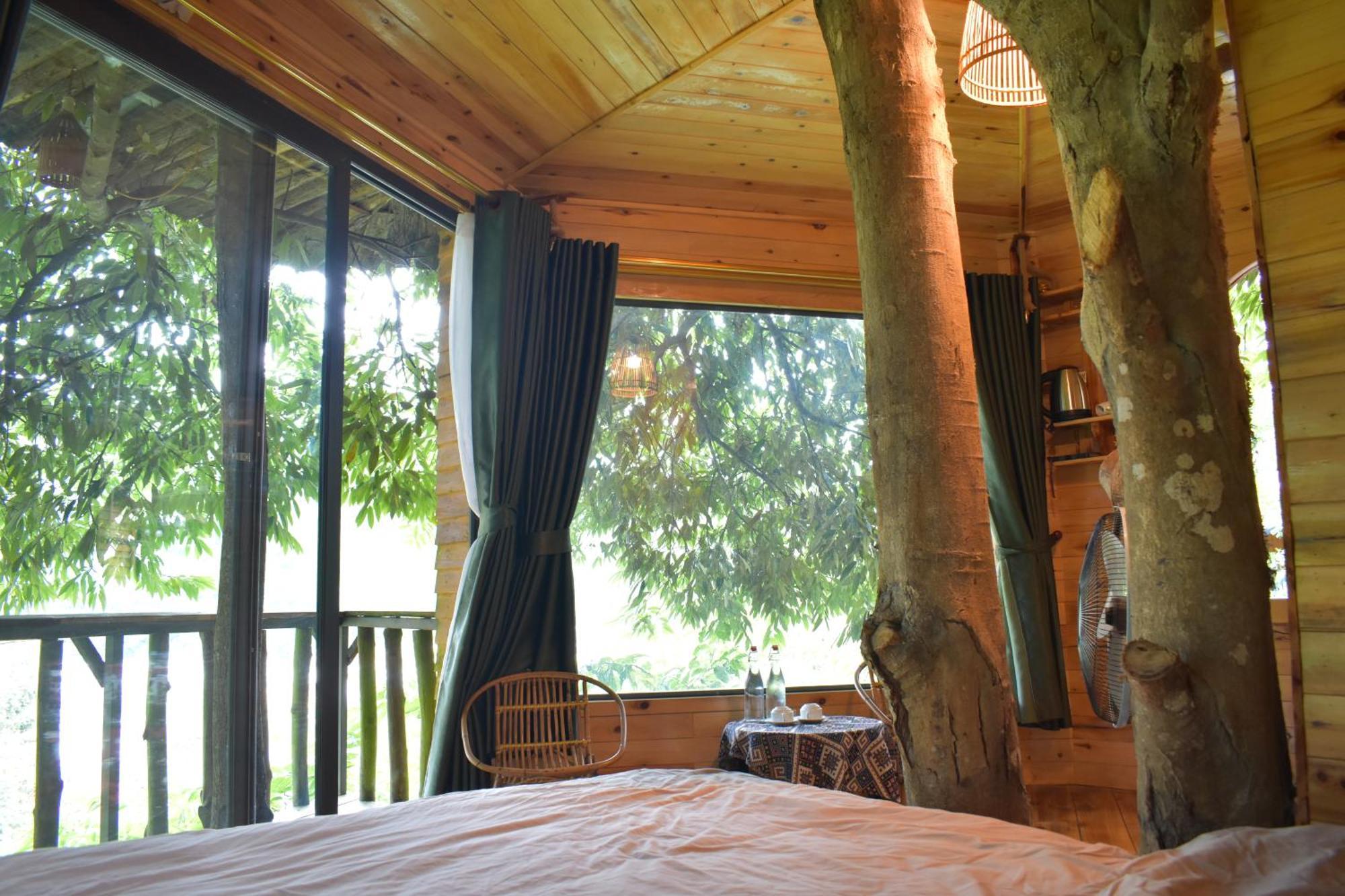 Jungle *