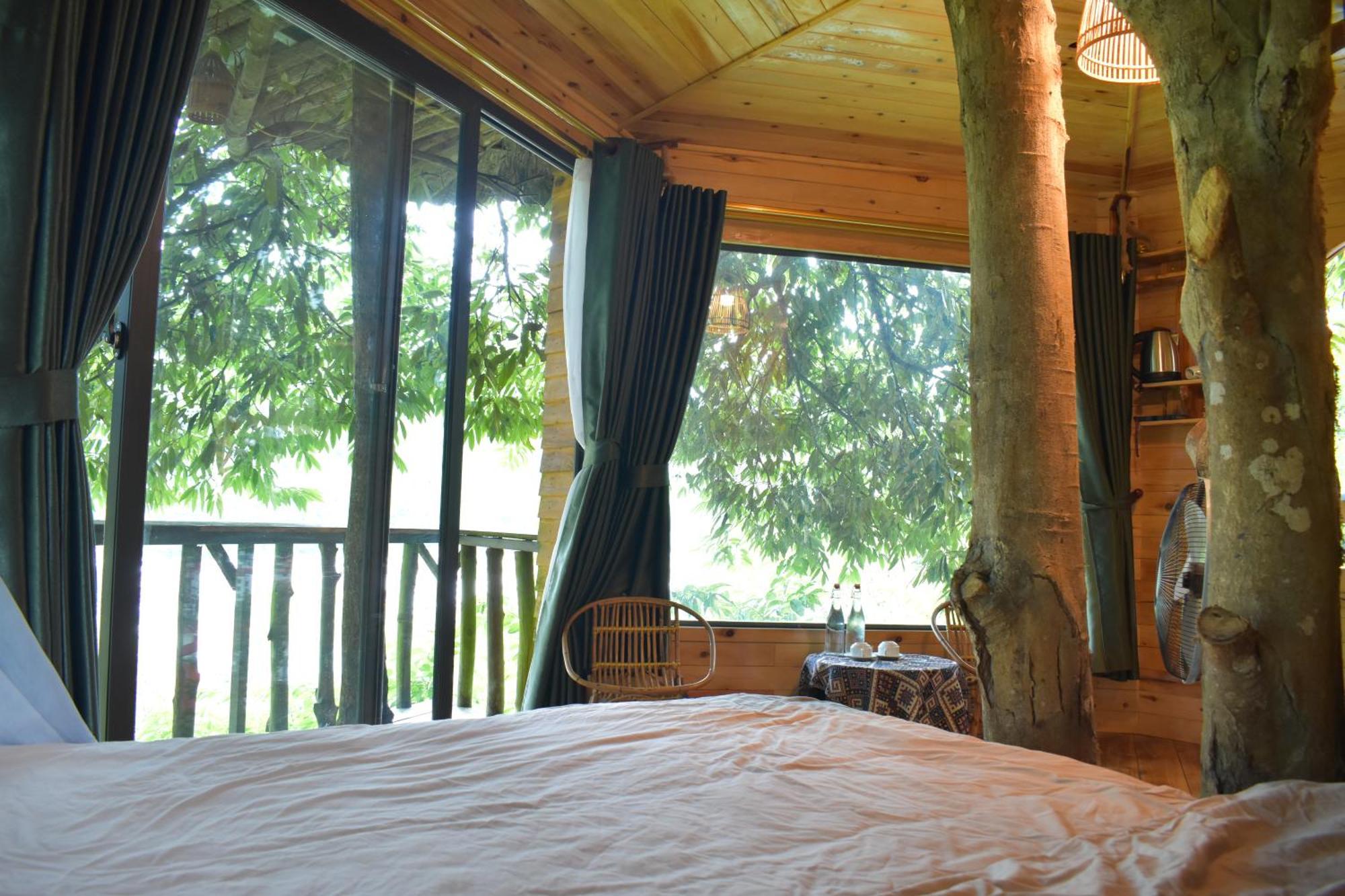 Jungle Homestay Sa Pa