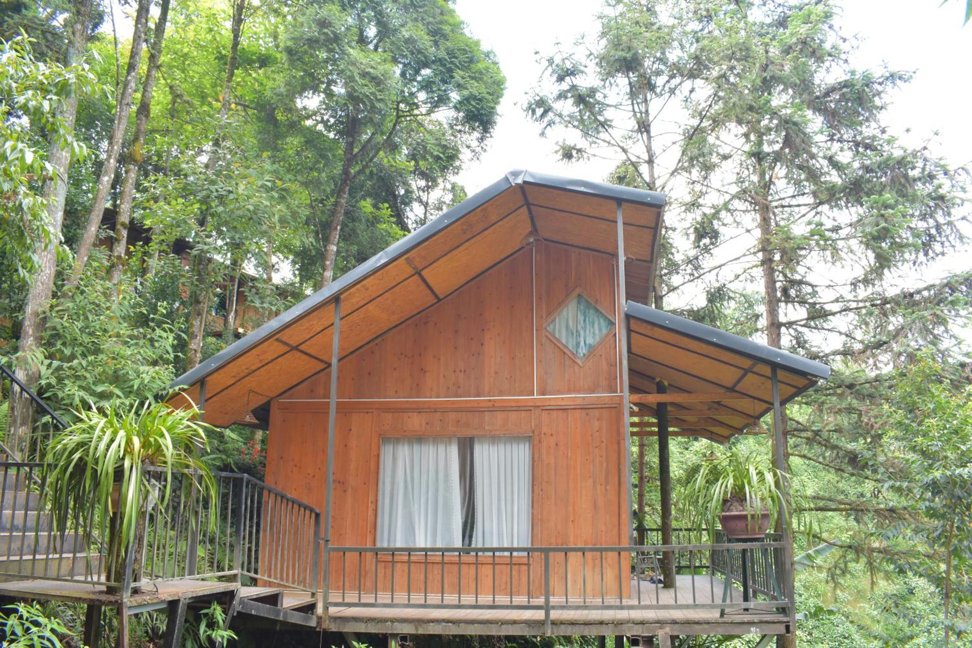 Jungle Ở trọ *