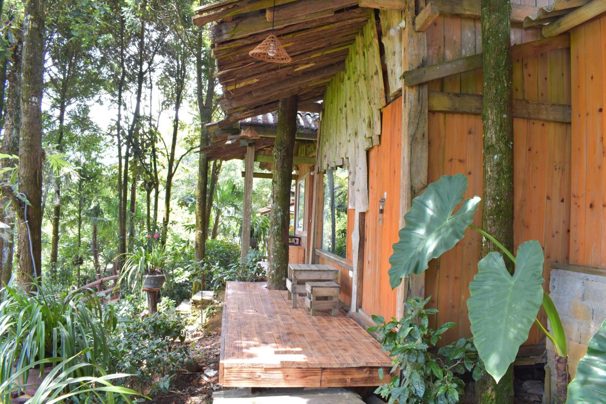 Ở trọ Jungle