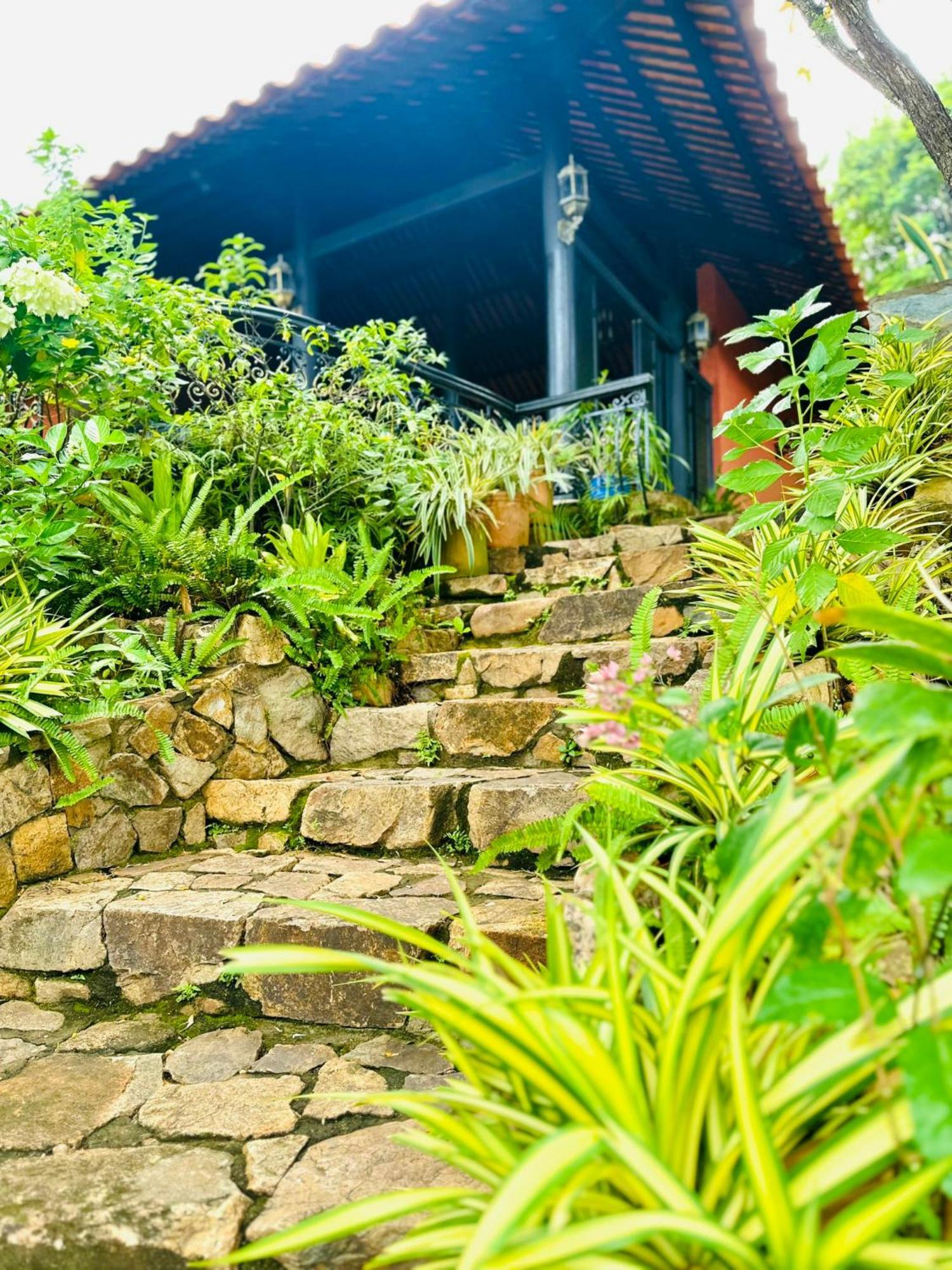 Binh An Village Hotel Vung Tau