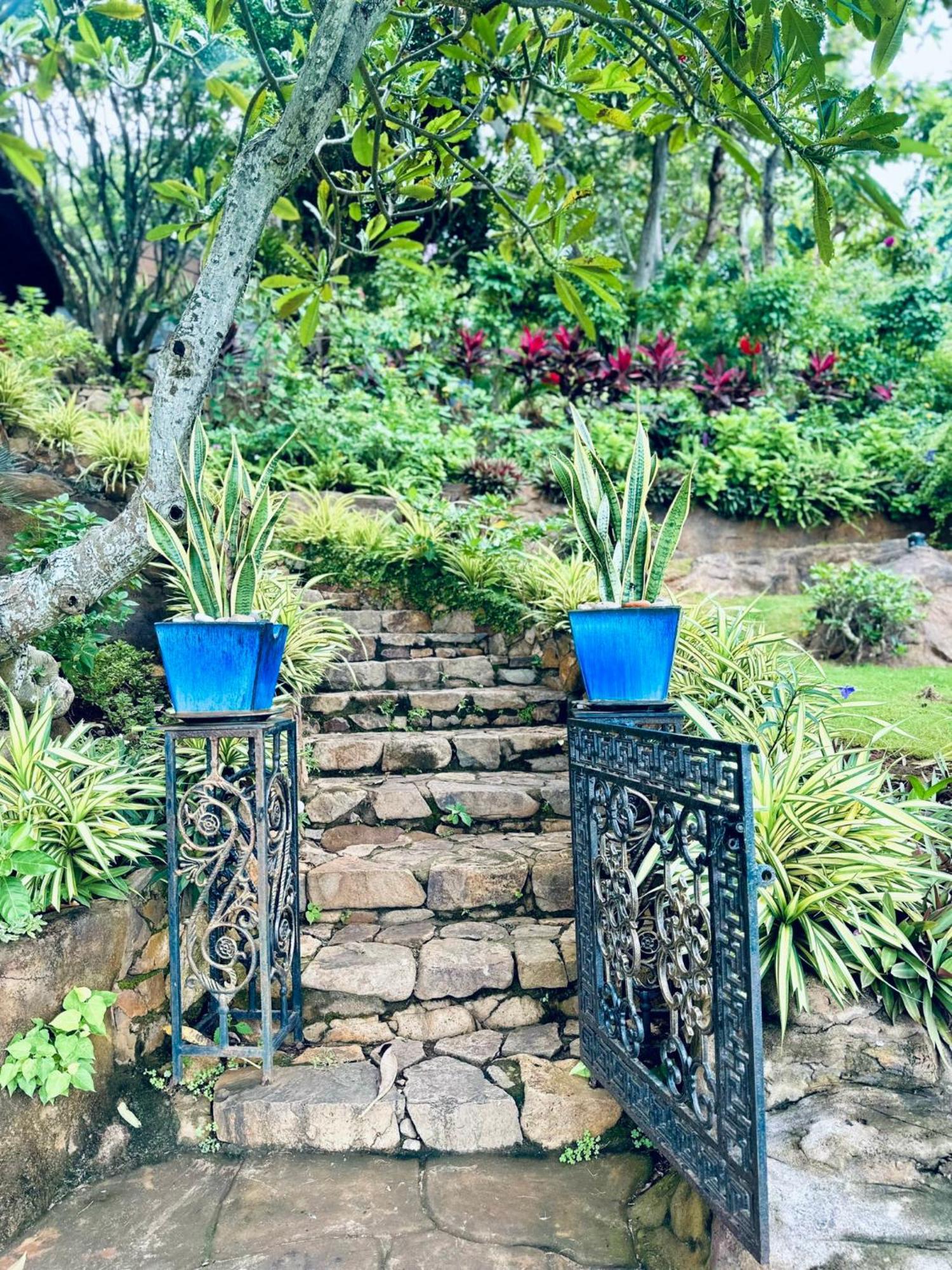 Binh An Village