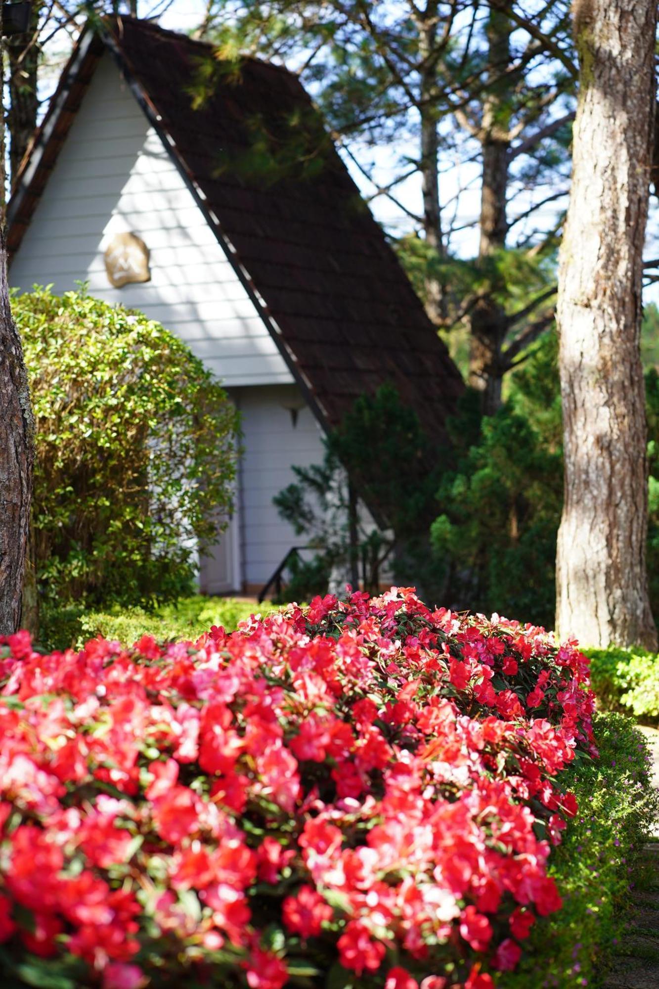 Ttc Dreamy Hill - Unlimited Access To Ttc World - Thung Lung Tinh Yeu Villa Đà Lạt
