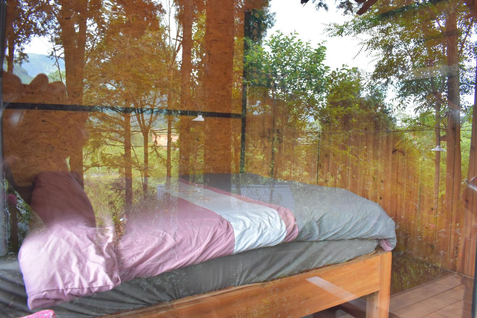 Ở trọ Jungle Sa Pa
