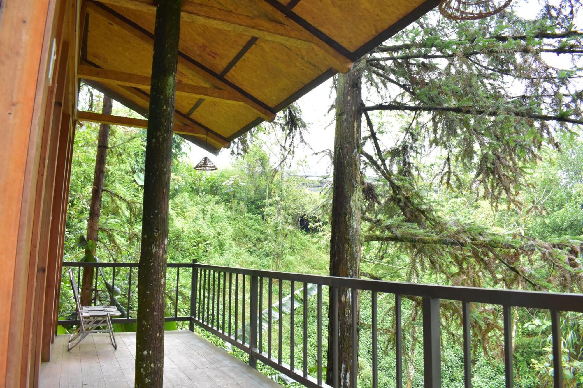 Jungle Ở trọ