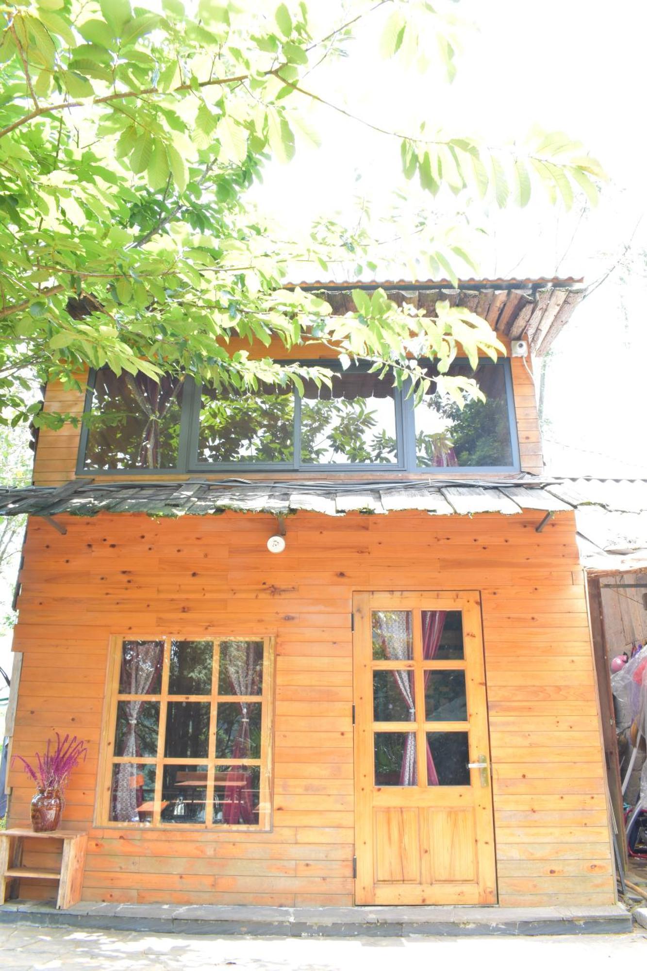 Jungle Ở trọ Sa Pa