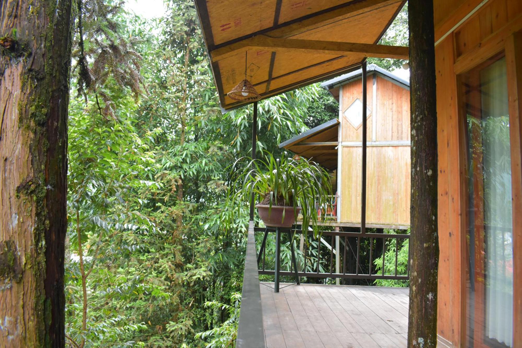 Jungle Homestay Sa Pa