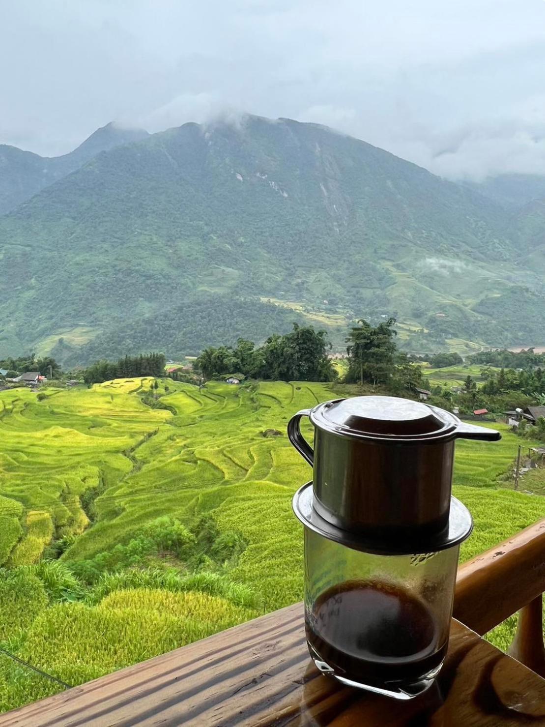 Hmong Eco