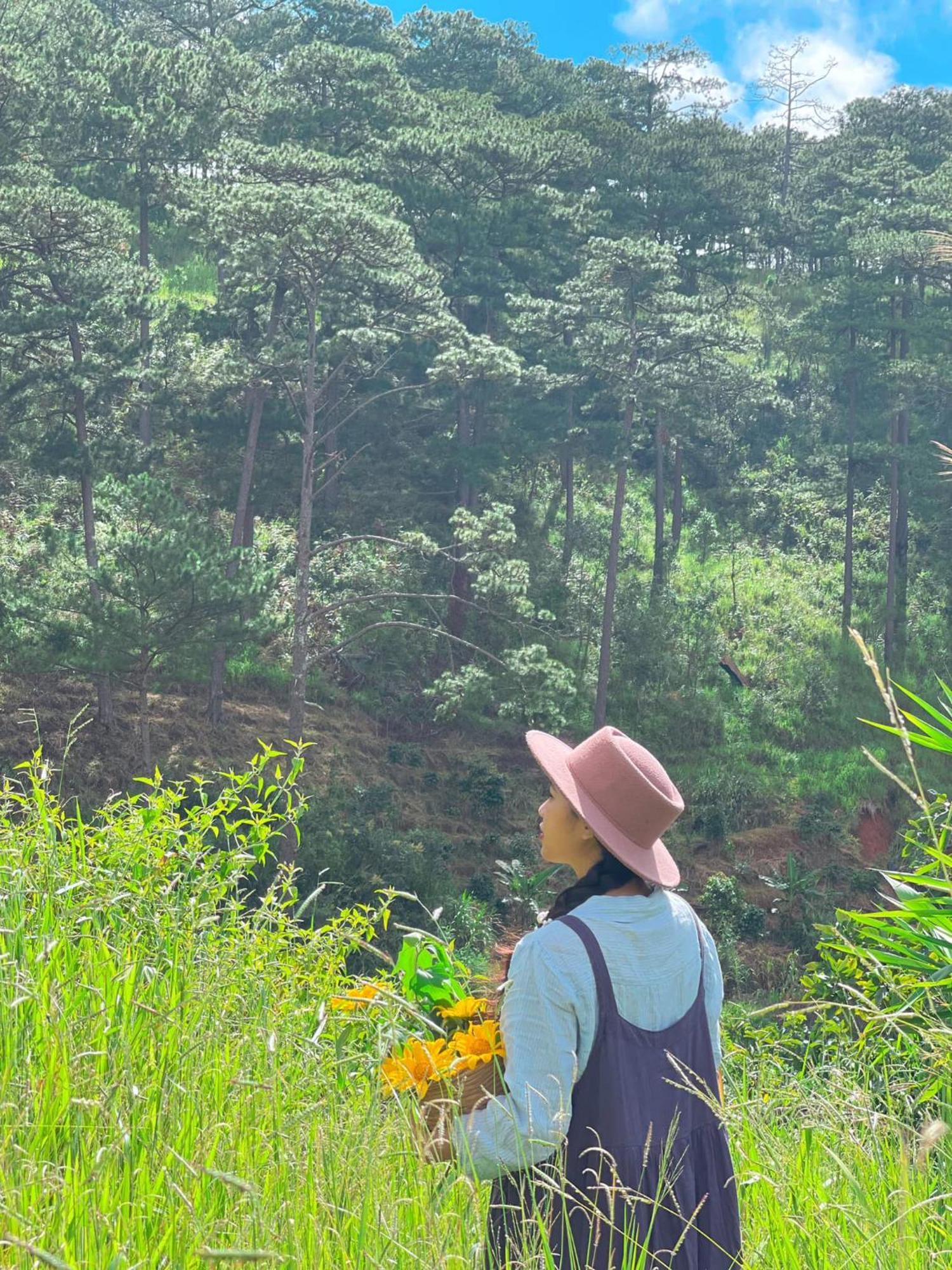 Homestay Memories - Pho Suong Mo *