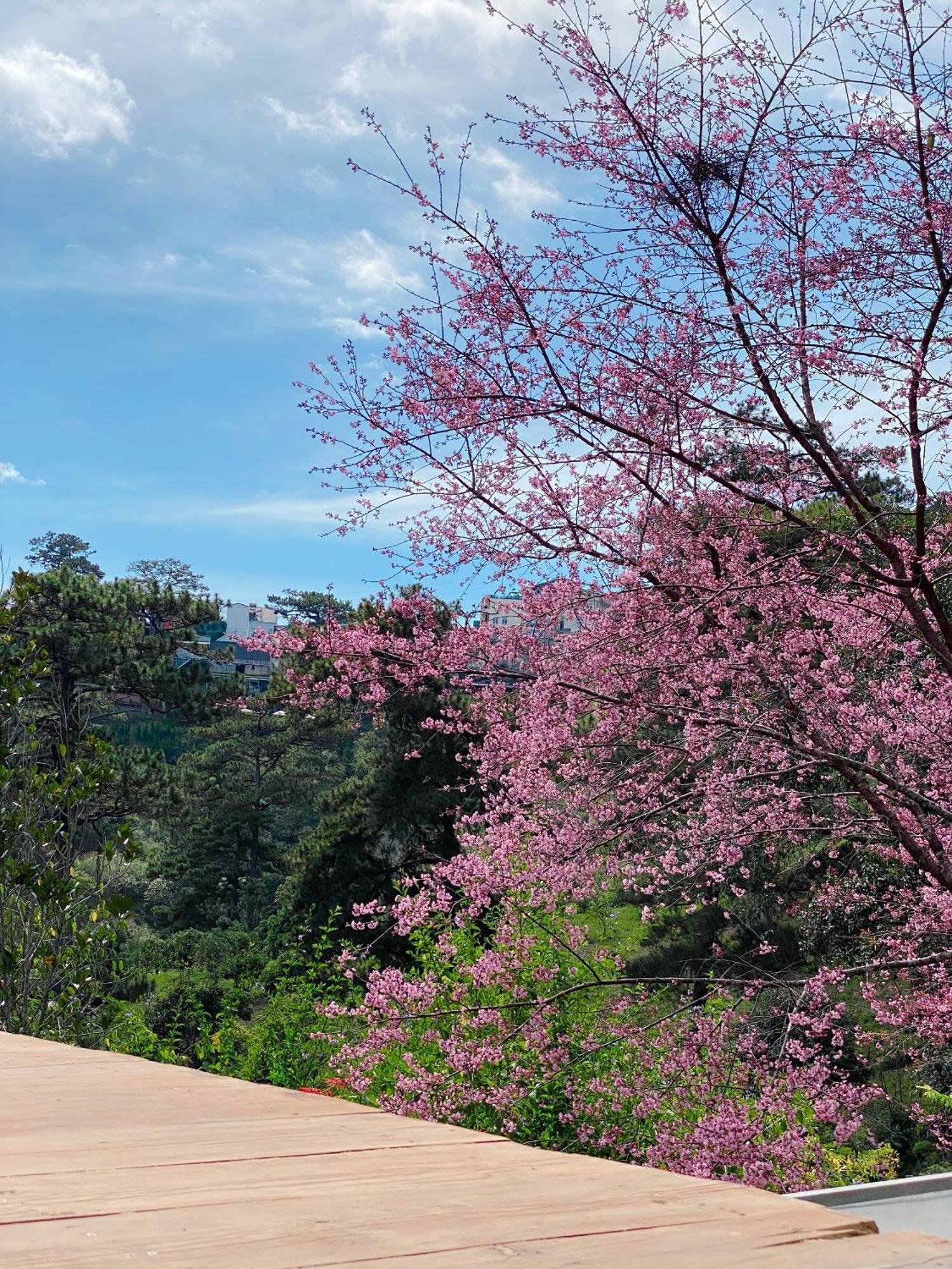 Memories - Pho Suong Mo Homestay *
