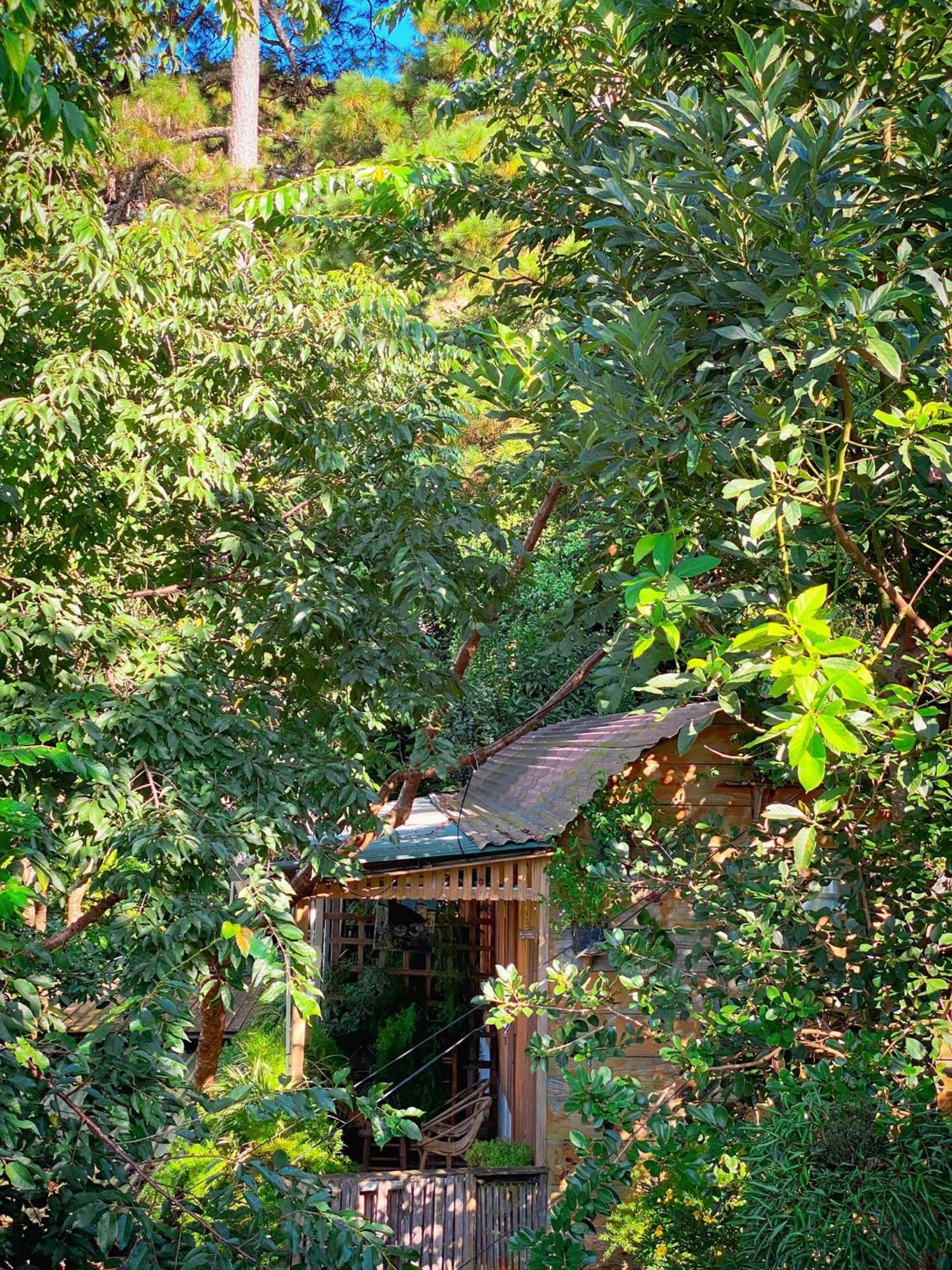 Memories - Pho Suong Mo * Da Lat