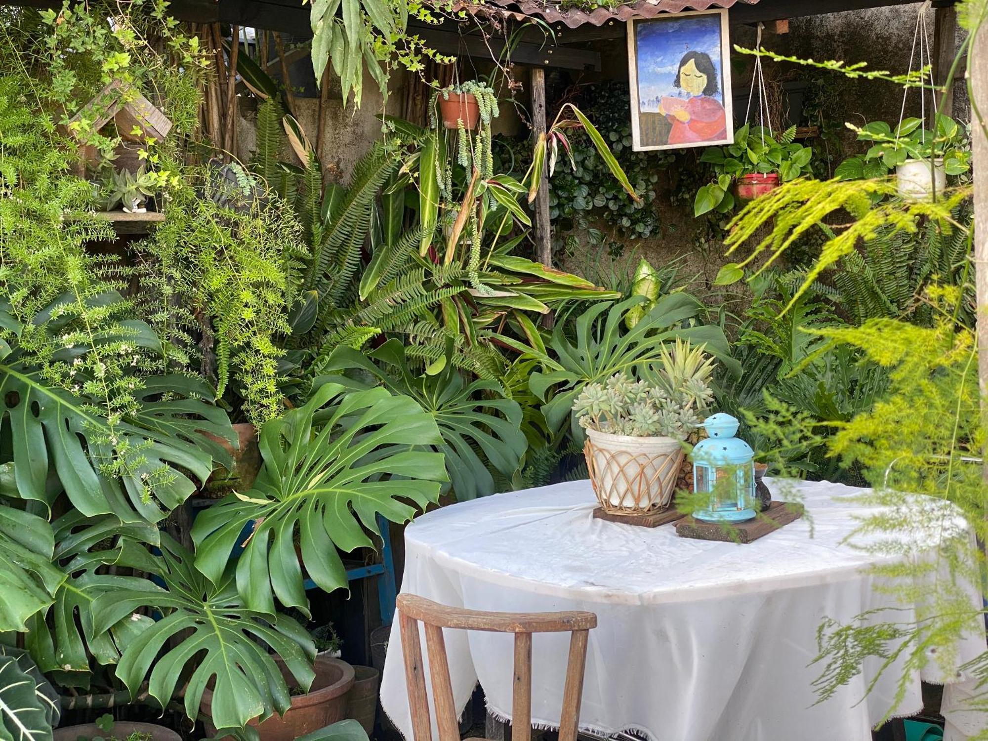 Homestay Memories - Pho Suong Mo