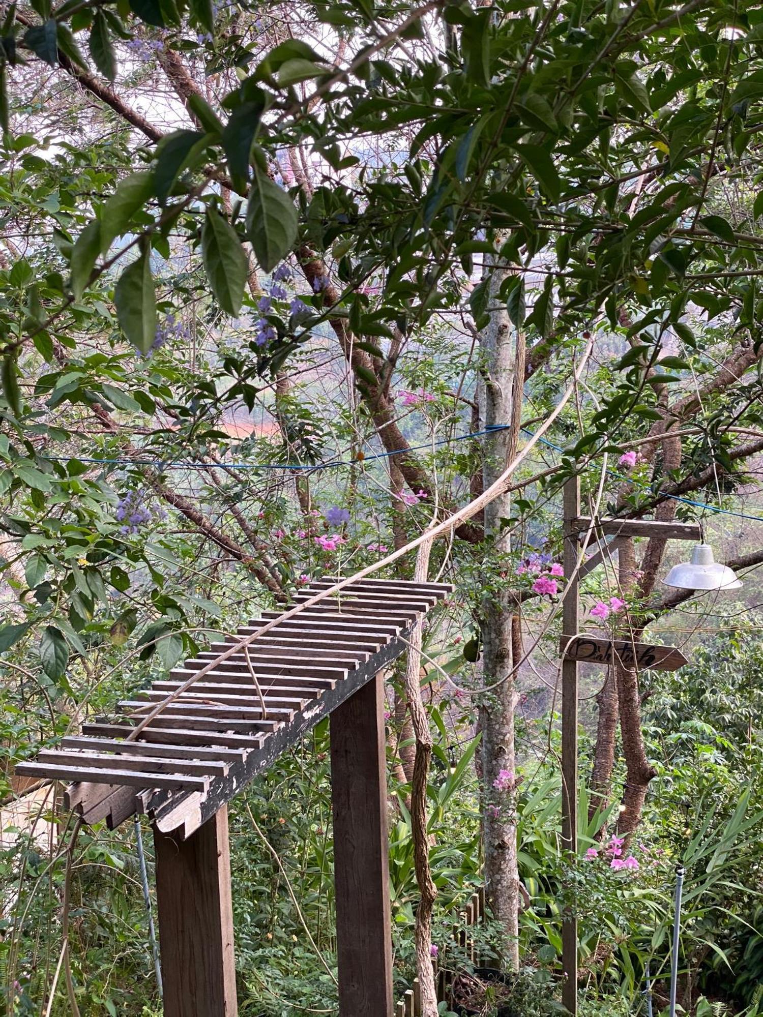Homestay Memories - Pho Suong Mo Da Lat