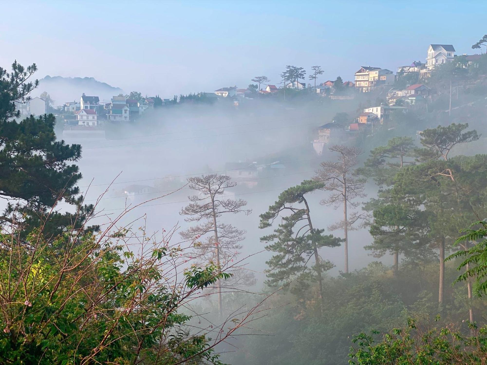 Homestay Memories - Pho Suong Mo Da Lat